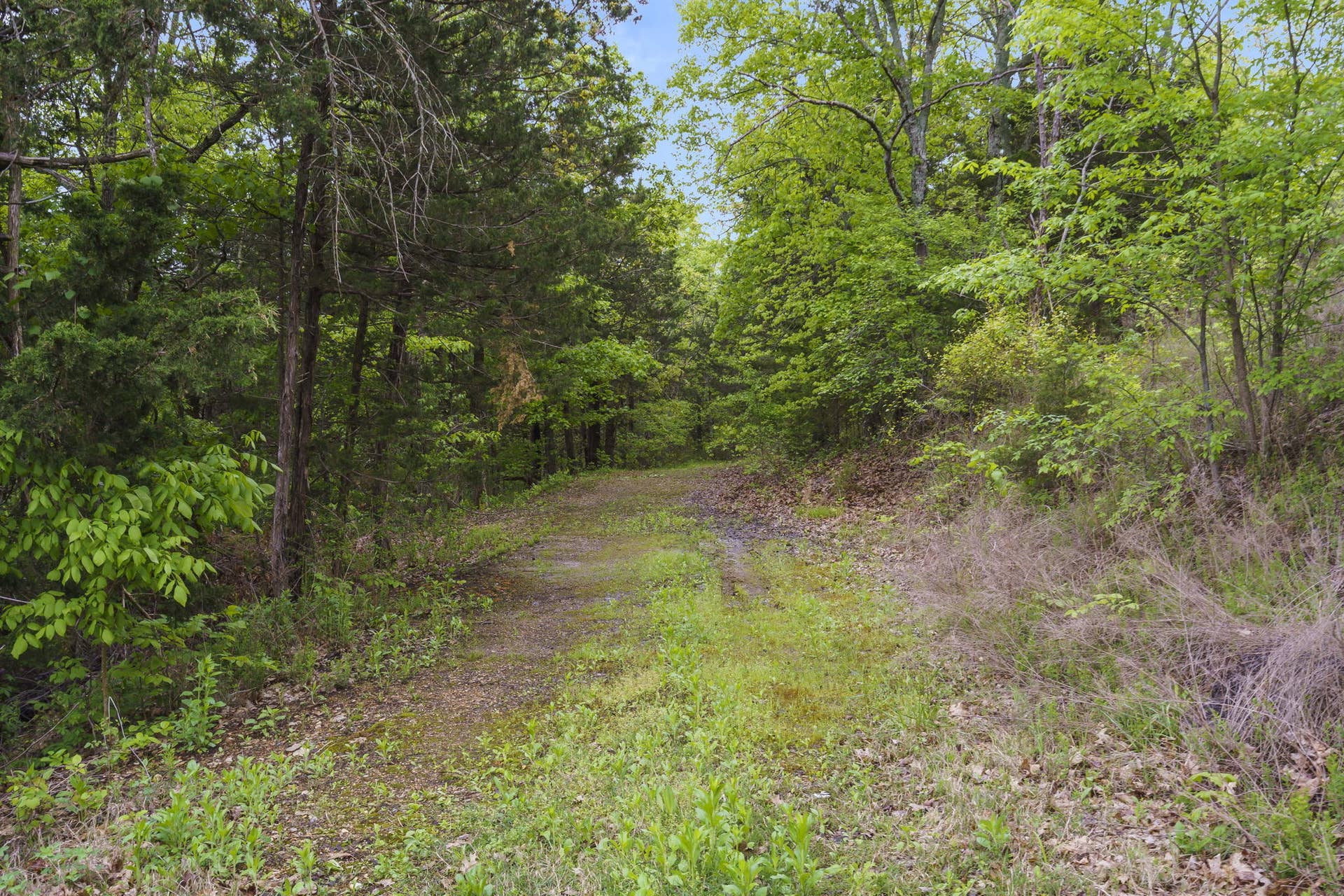 635 Ozark Mountain Resort Drive, #115, Kimberling City, MO 65686 14-web-or-mls-29-web-or-mls-DSC06281
