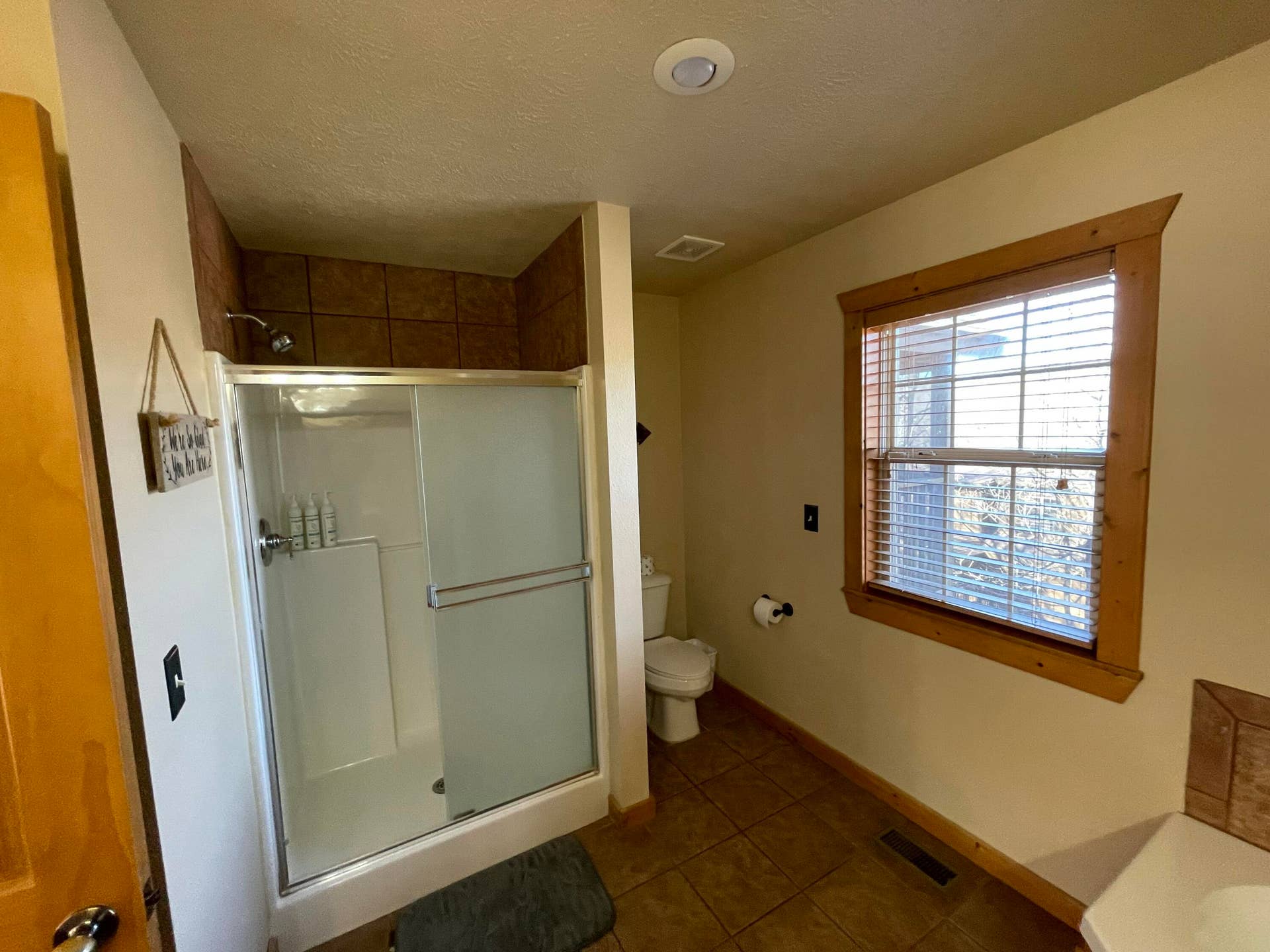 61 Bells Ave., Branson West, MO 65737 Step In Shower