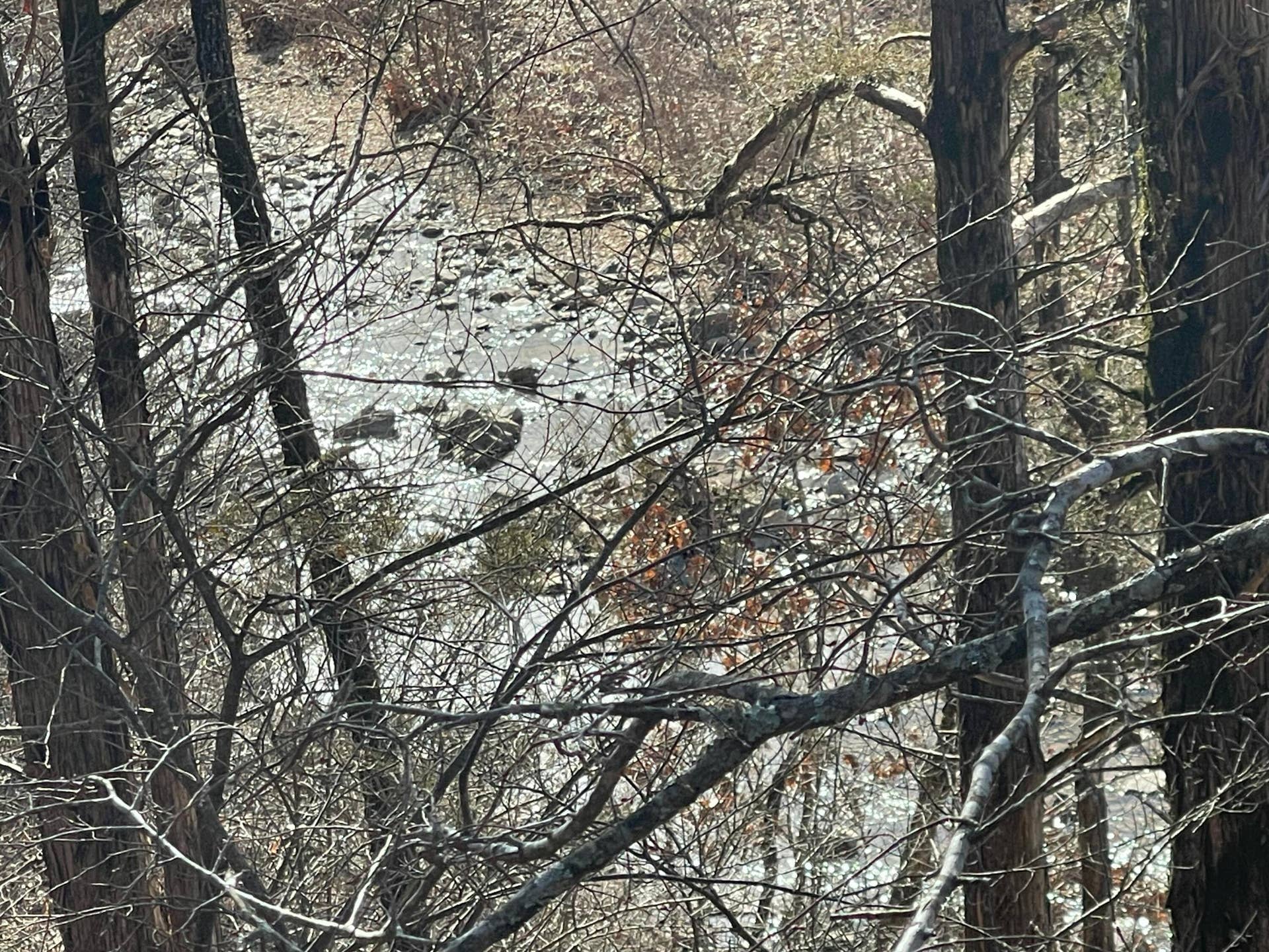101 Lost Creek Circle, #5, Branson West, MO 65737 View of Roark Creek