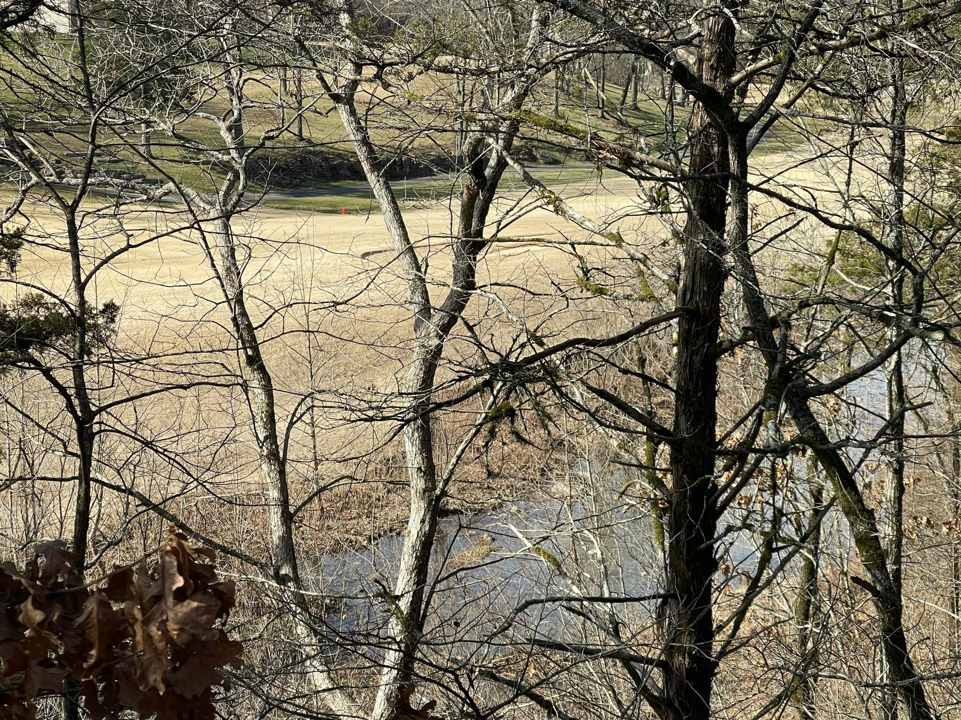 101 Lost Creek Circle, #5, Branson West, MO 65737 Roark Creek