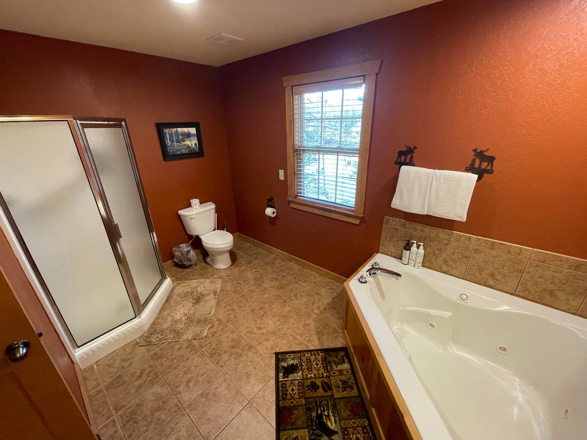 101 Lost Creek Circle, #5, Branson West, MO 65737 Walk In Shower