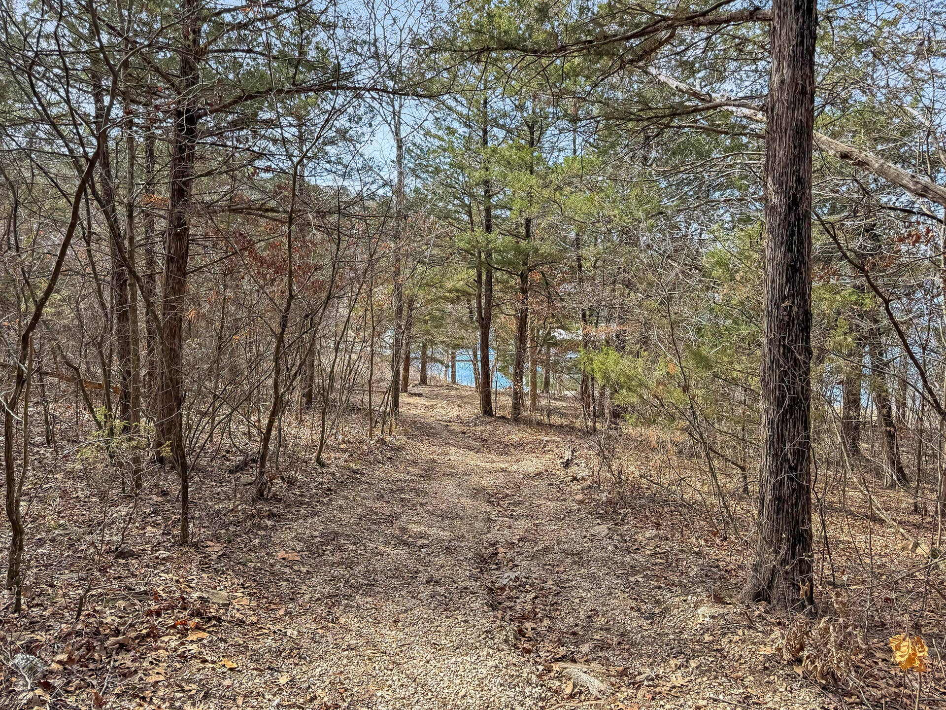 110 Kimberling Shores Lane, #6, Kimberling City, MO 65686 UTV Path to Dock