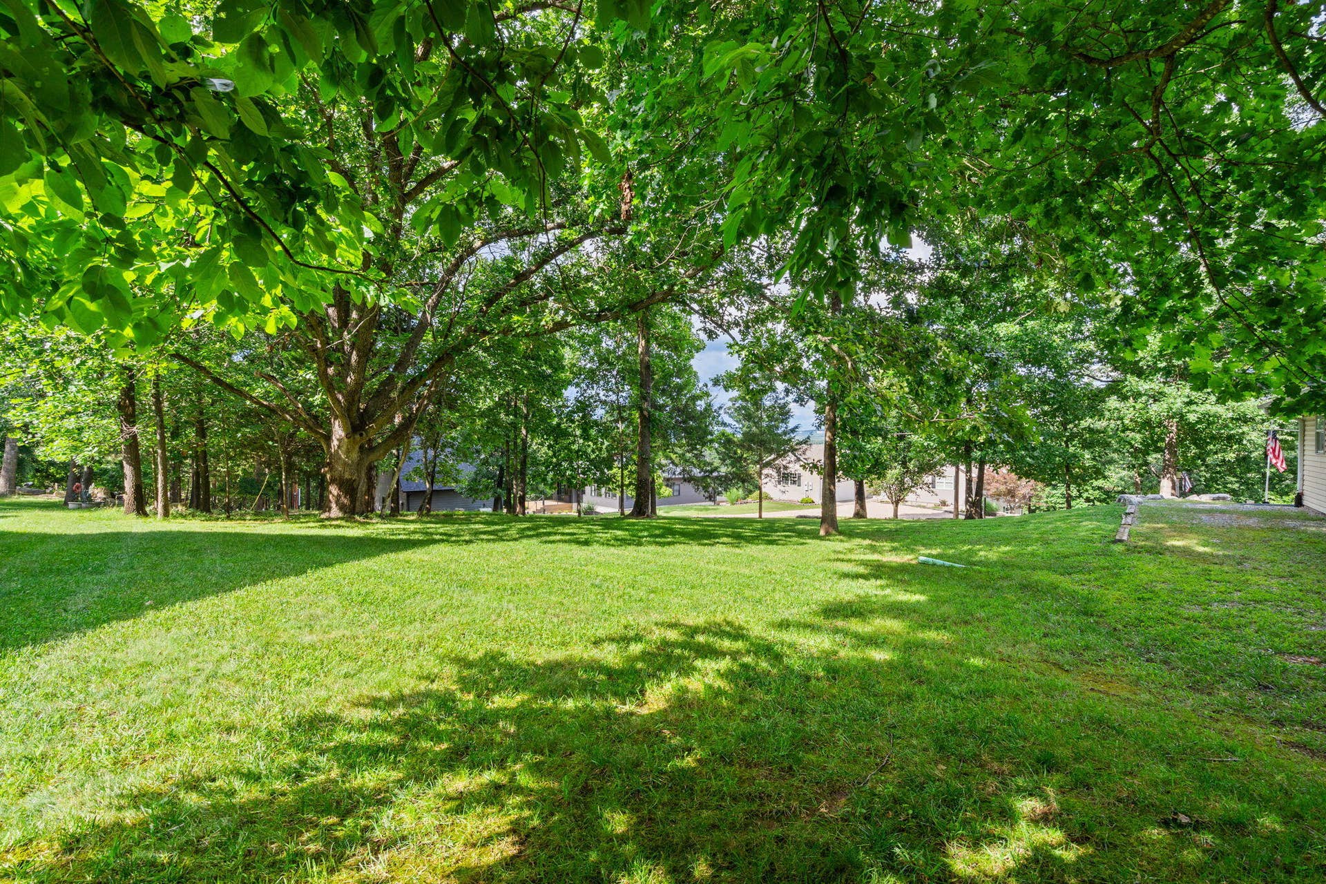 13-web-or-mls-DSC06173