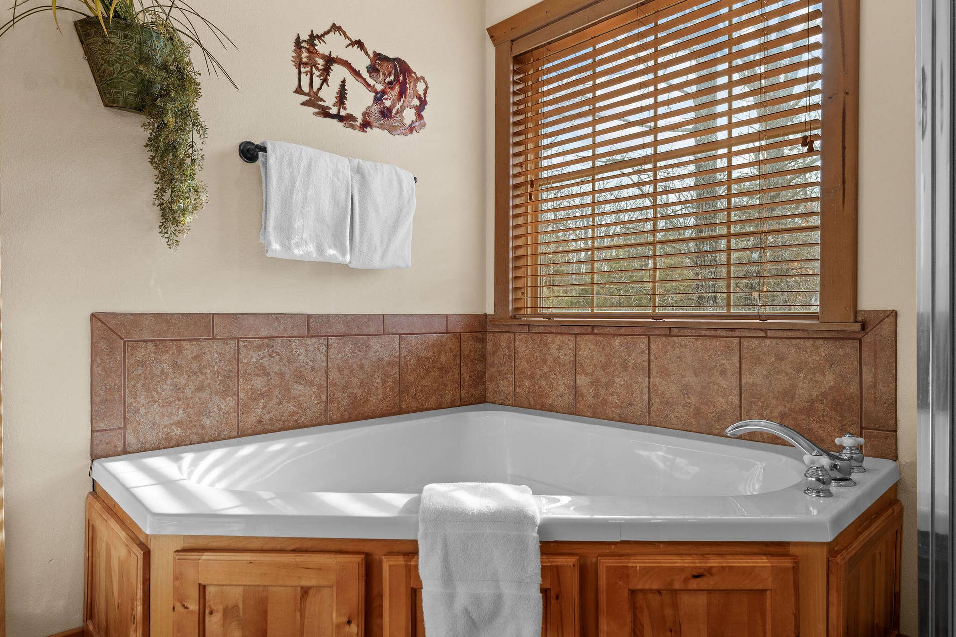 Master Bathroom Tub
