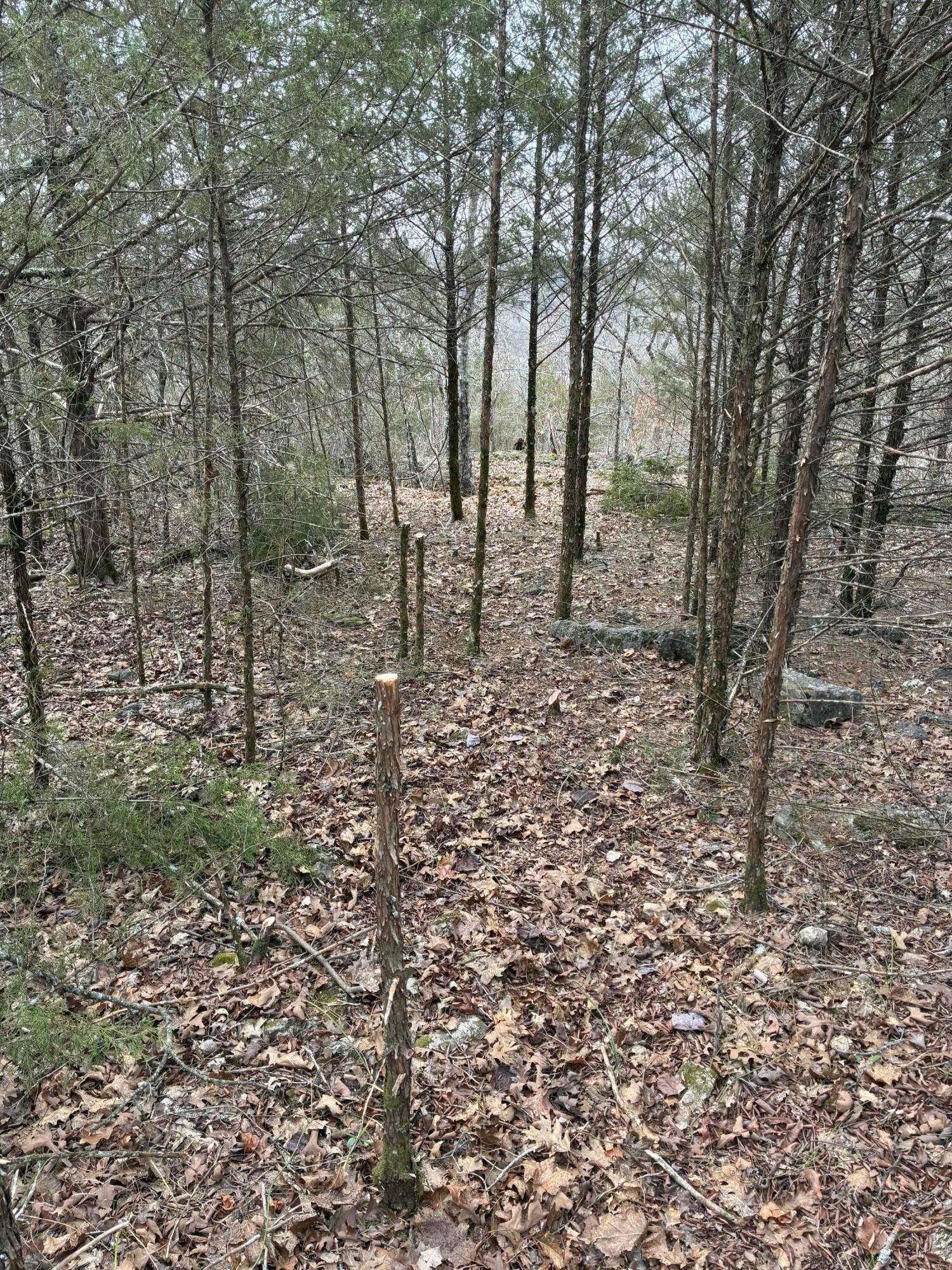 STONEBRIDGE VILLAGE LOT FOR SALE