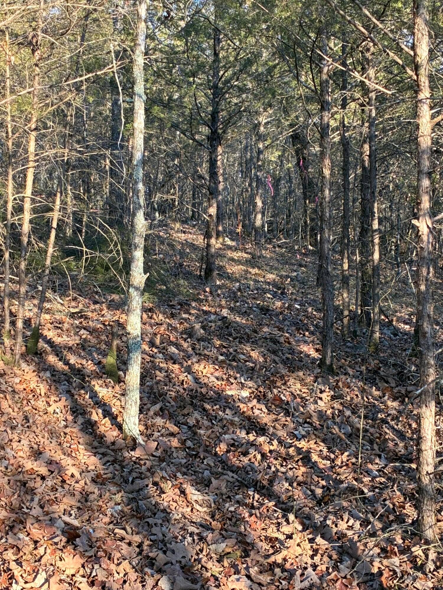 STONEBRIDGE VILLAGE LOT FOR SALE