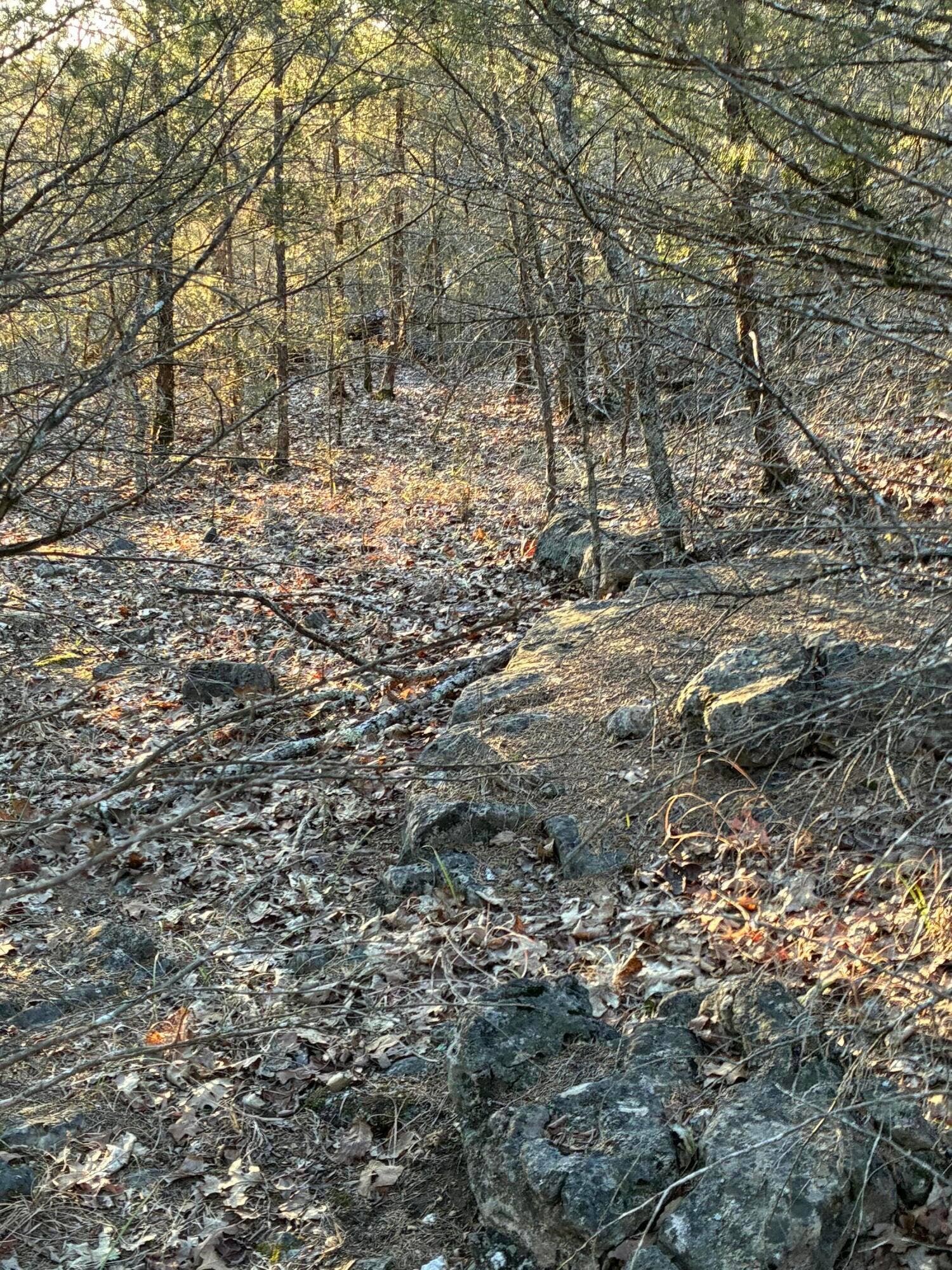 STONEBRIDGE VILLAGE LOT FOR SALE