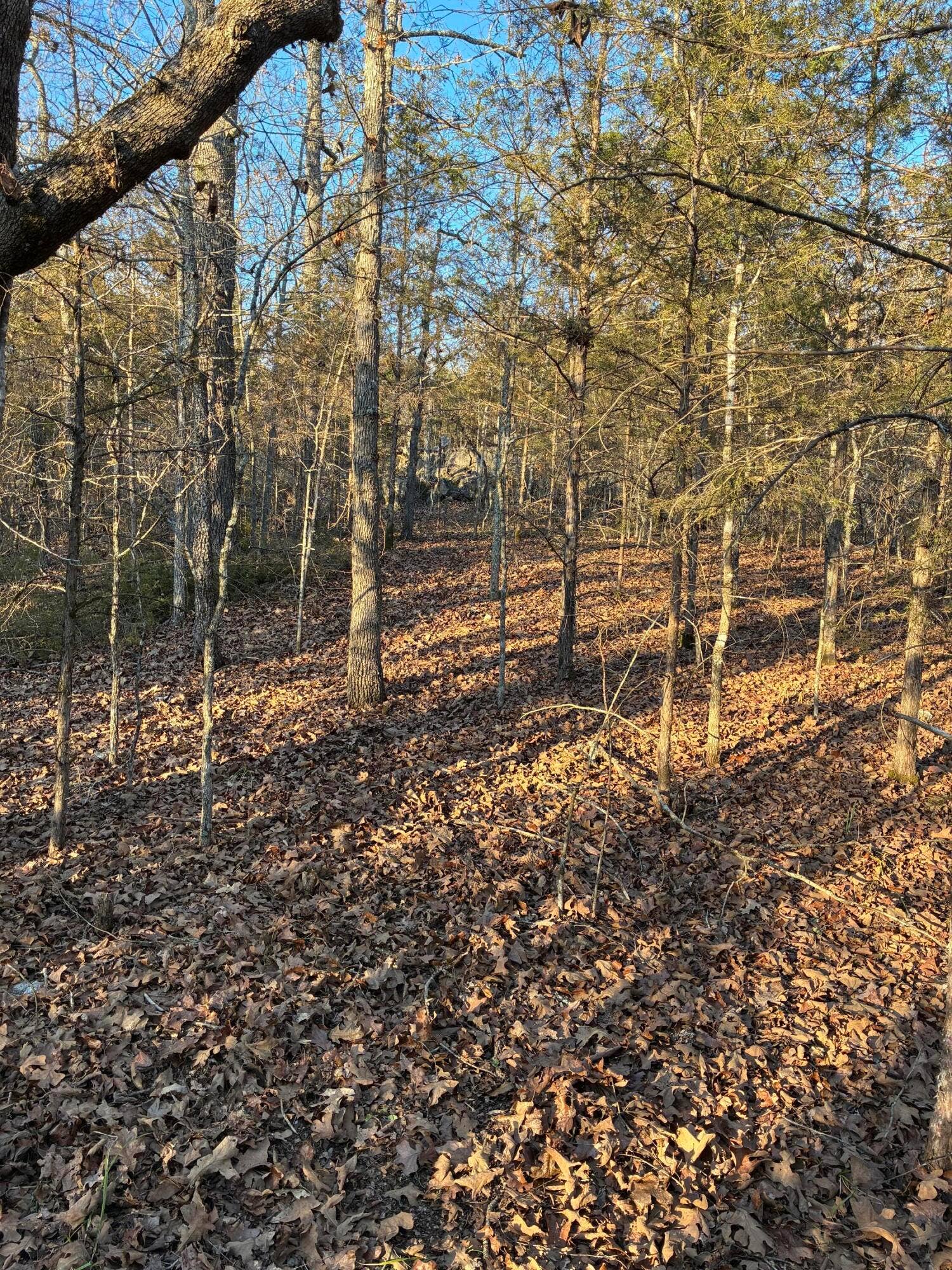 STONEBRIDGE VILLAGE LOT FOR SALE