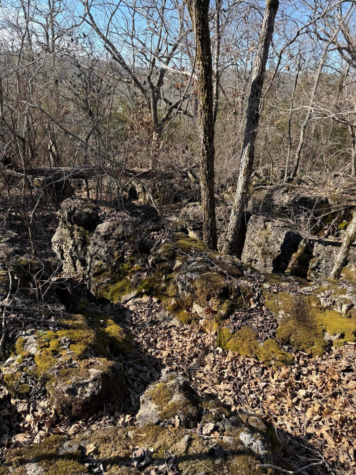 STONEBRIDGE VILLAGE LOT FOR SALE