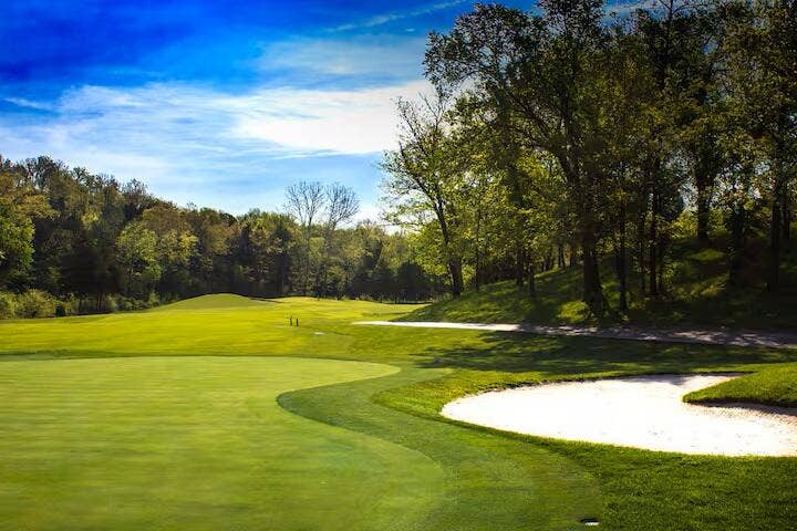 1001 Golf Drive, #14, Branson West, MO 65737 25