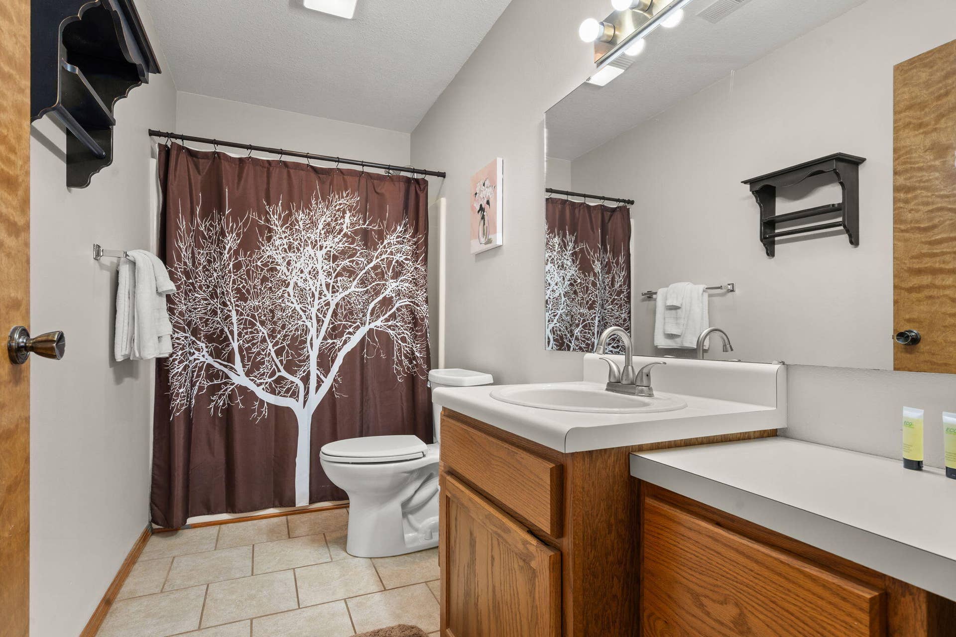 23-web-or-mls-DSC04449
