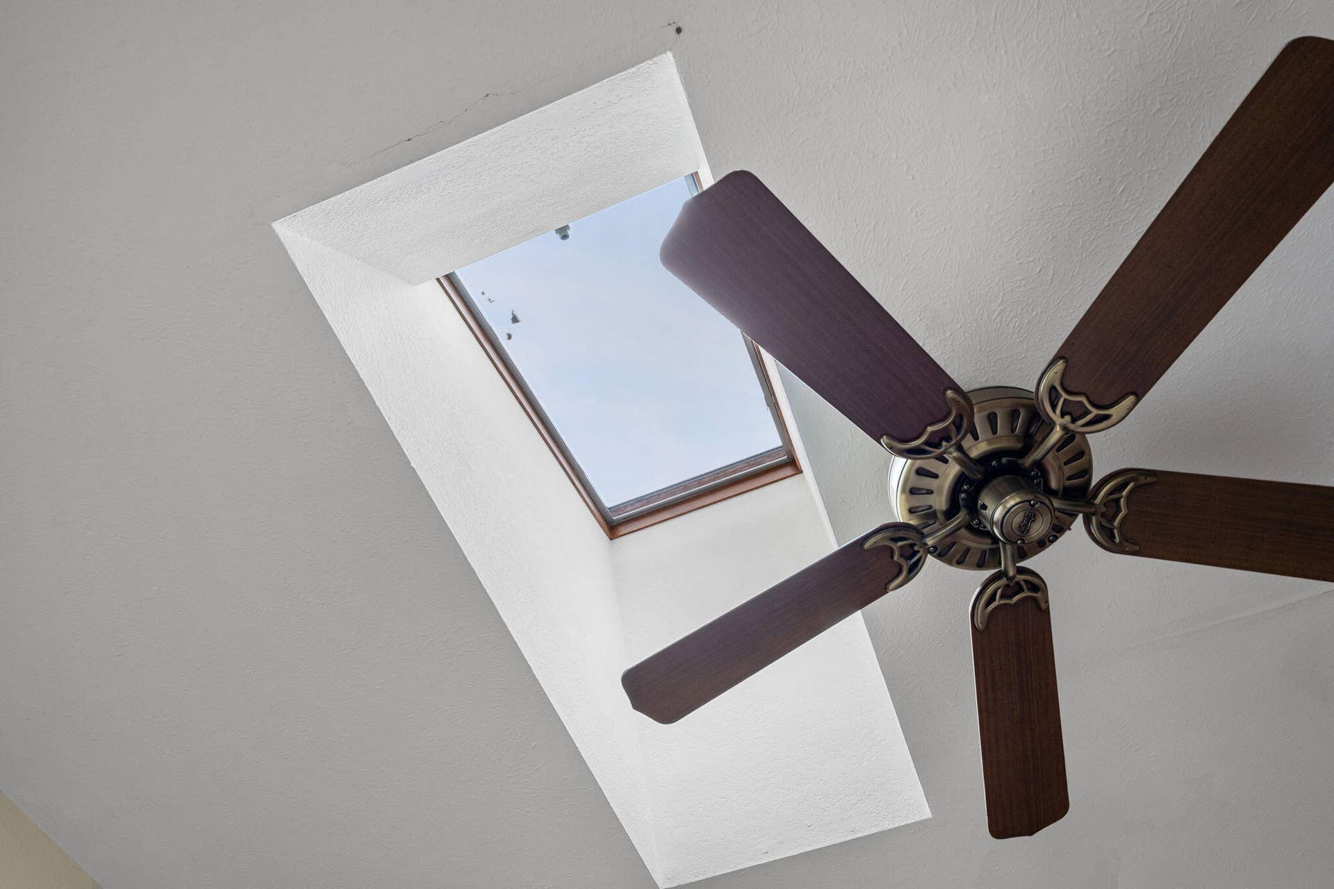 Amazing Natural Light Throughout