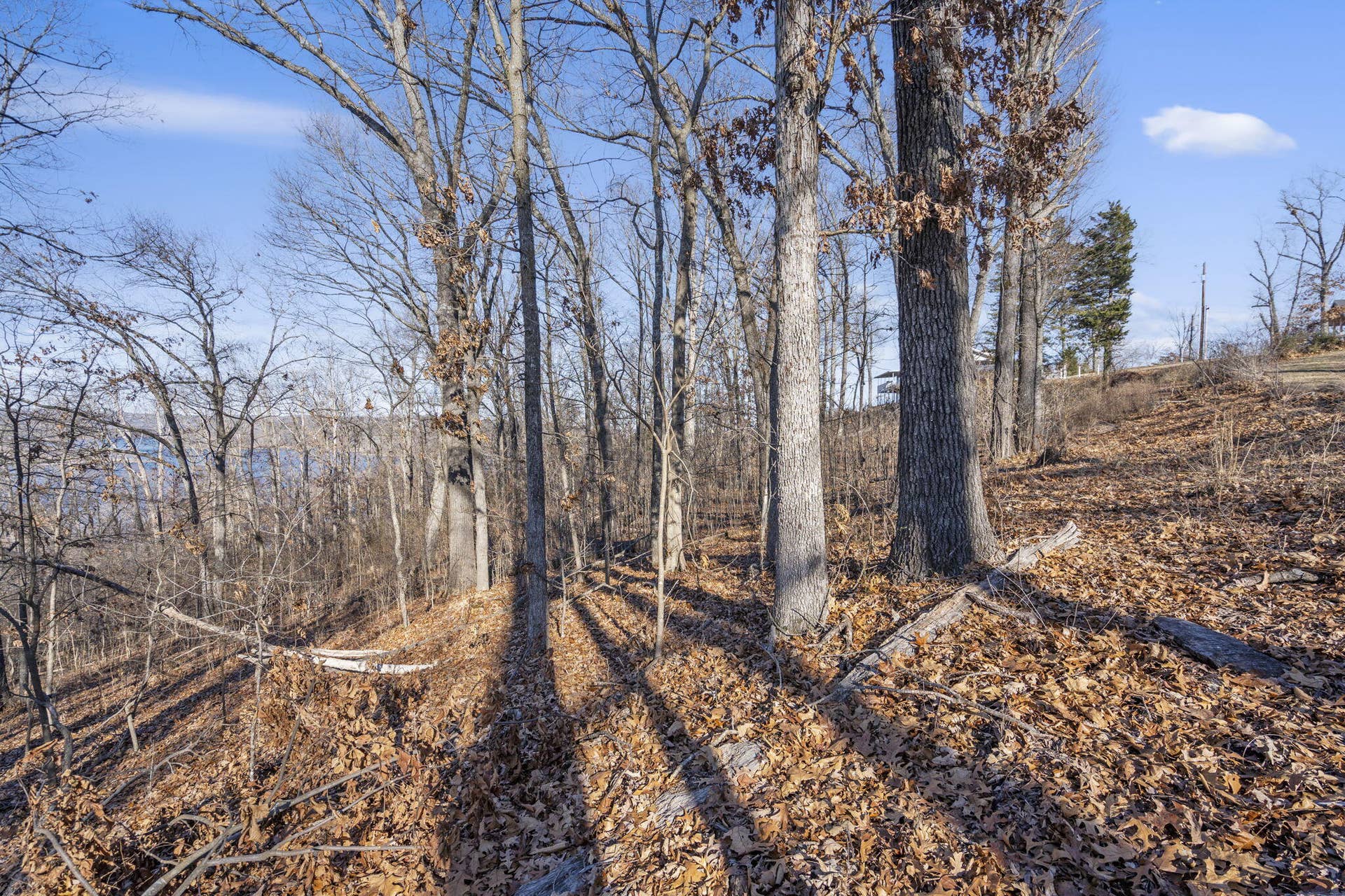 Tbd Silverbridge Lane, Kimberling City, MO 65686 1-web-or-mls-HWJ08421