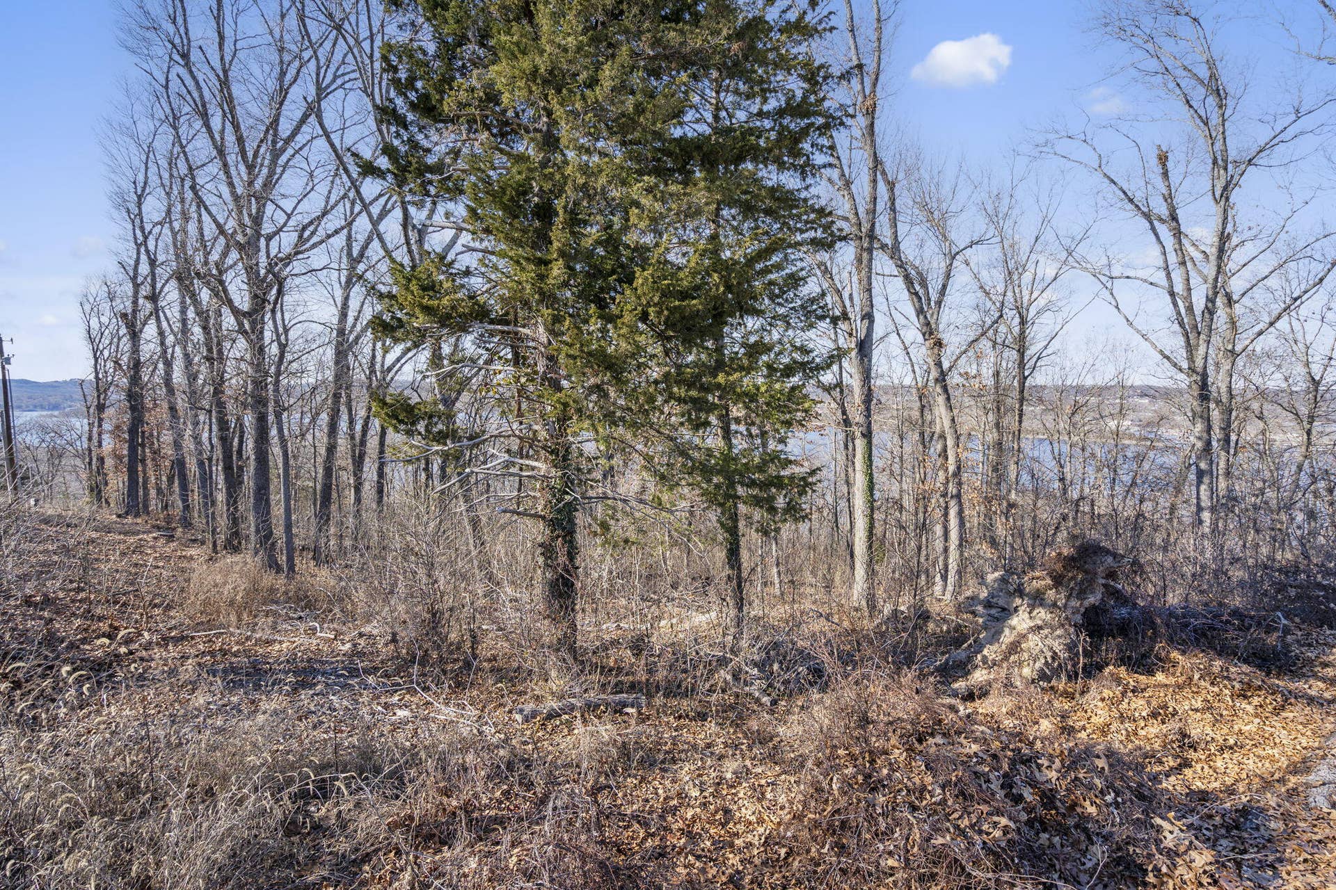 Tbd Silverbridge Lane, Kimberling City, MO 65686 6-web-or-mls-HWJ08432
