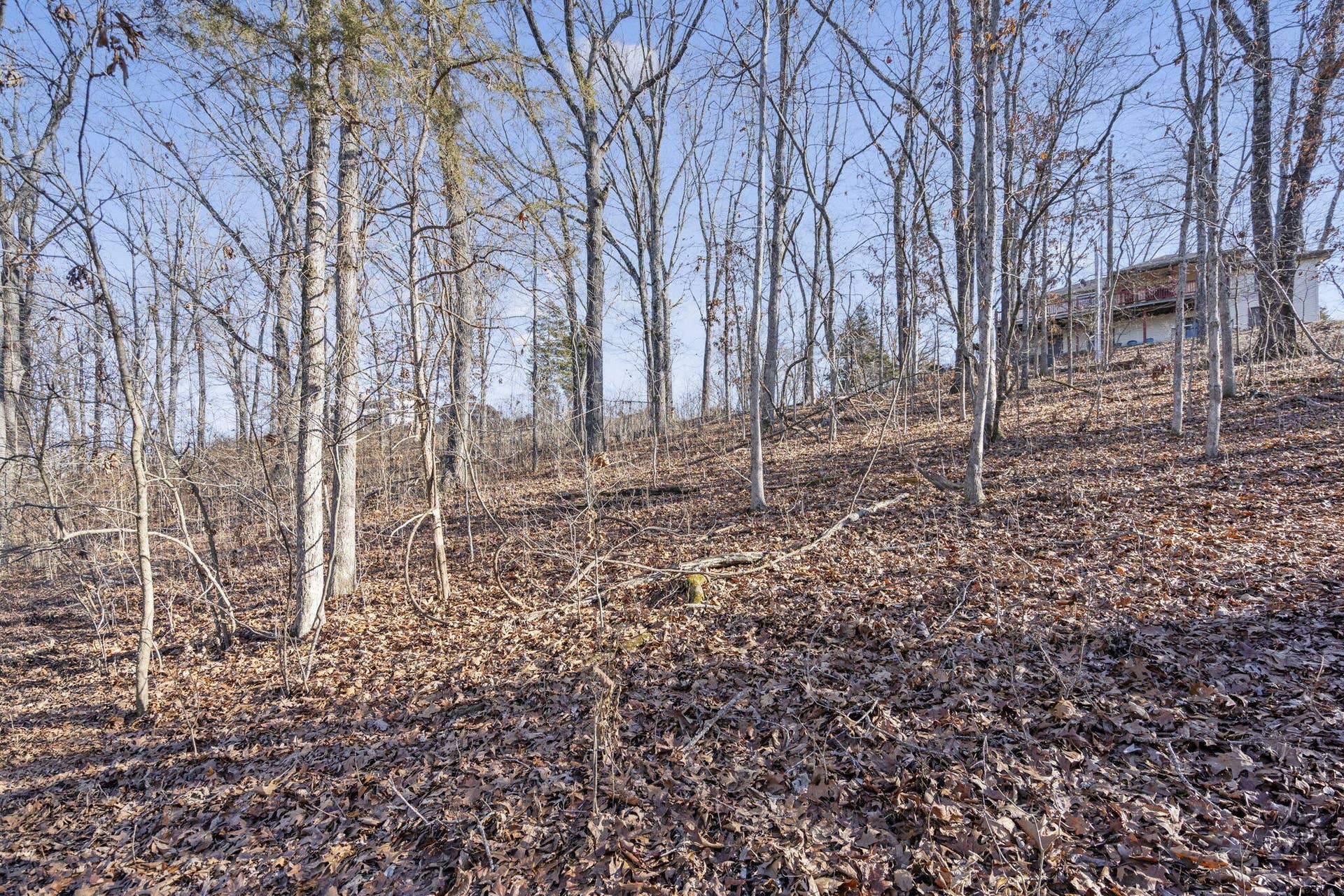 Tbd Silverbridge Lane, Kimberling City, MO 65686 2-web-or-mls-HWJ08425