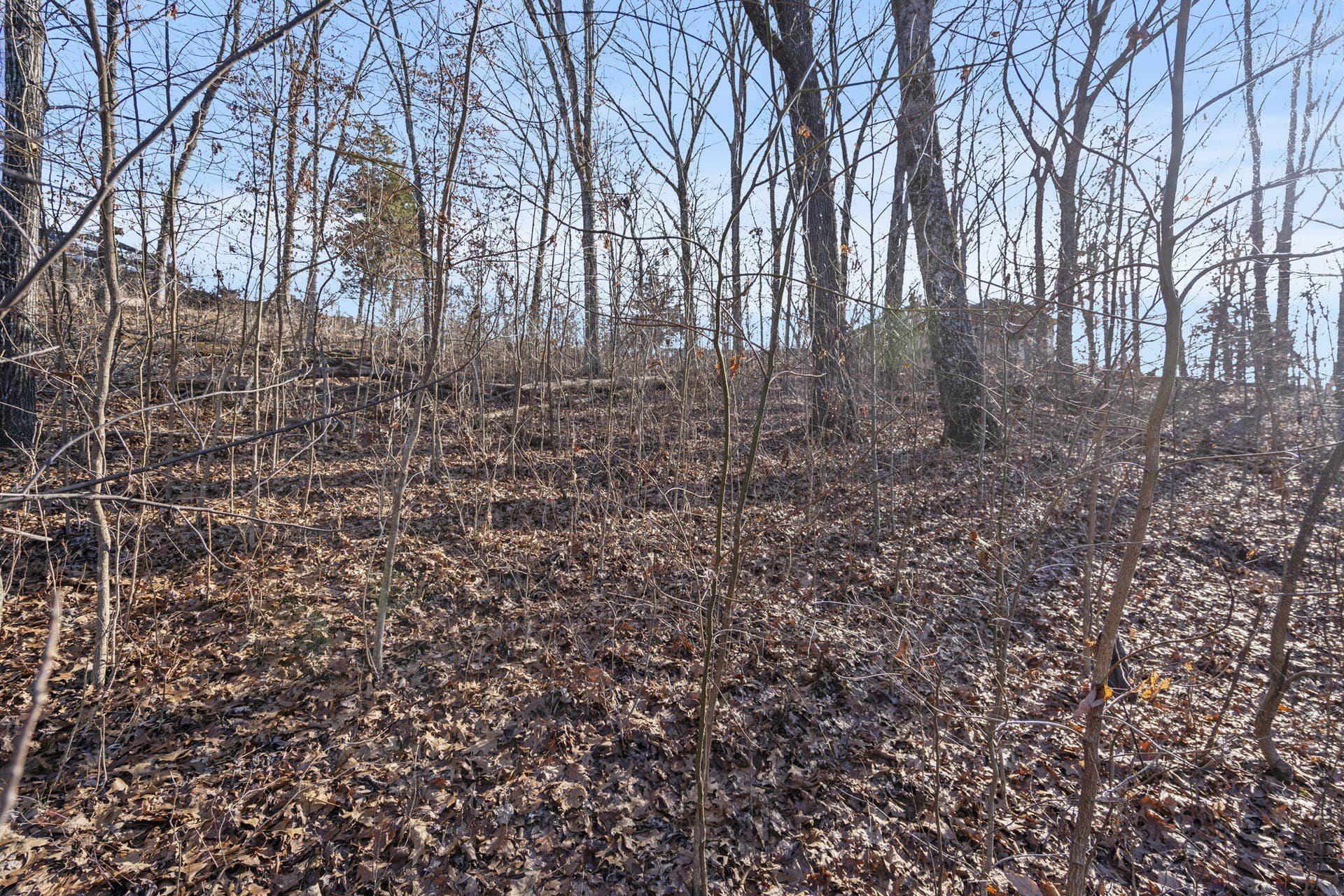 Tbd Silverbridge Lane, Kimberling City, MO 65686 3-web-or-mls-HWJ08428