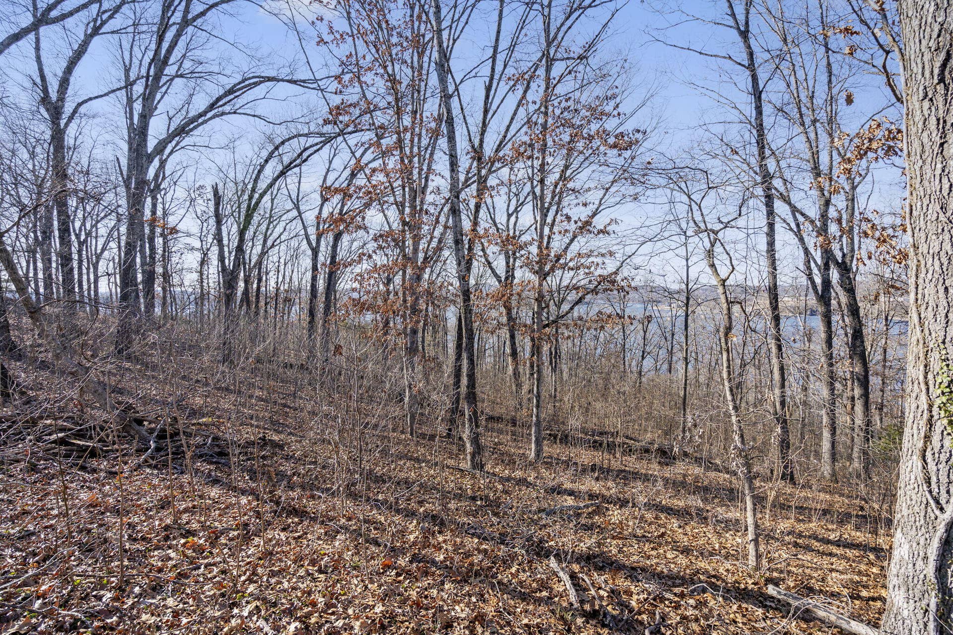 Tbd Silverbridge Lane, Kimberling City, MO 65686 4-web-or-mls-HWJ08430