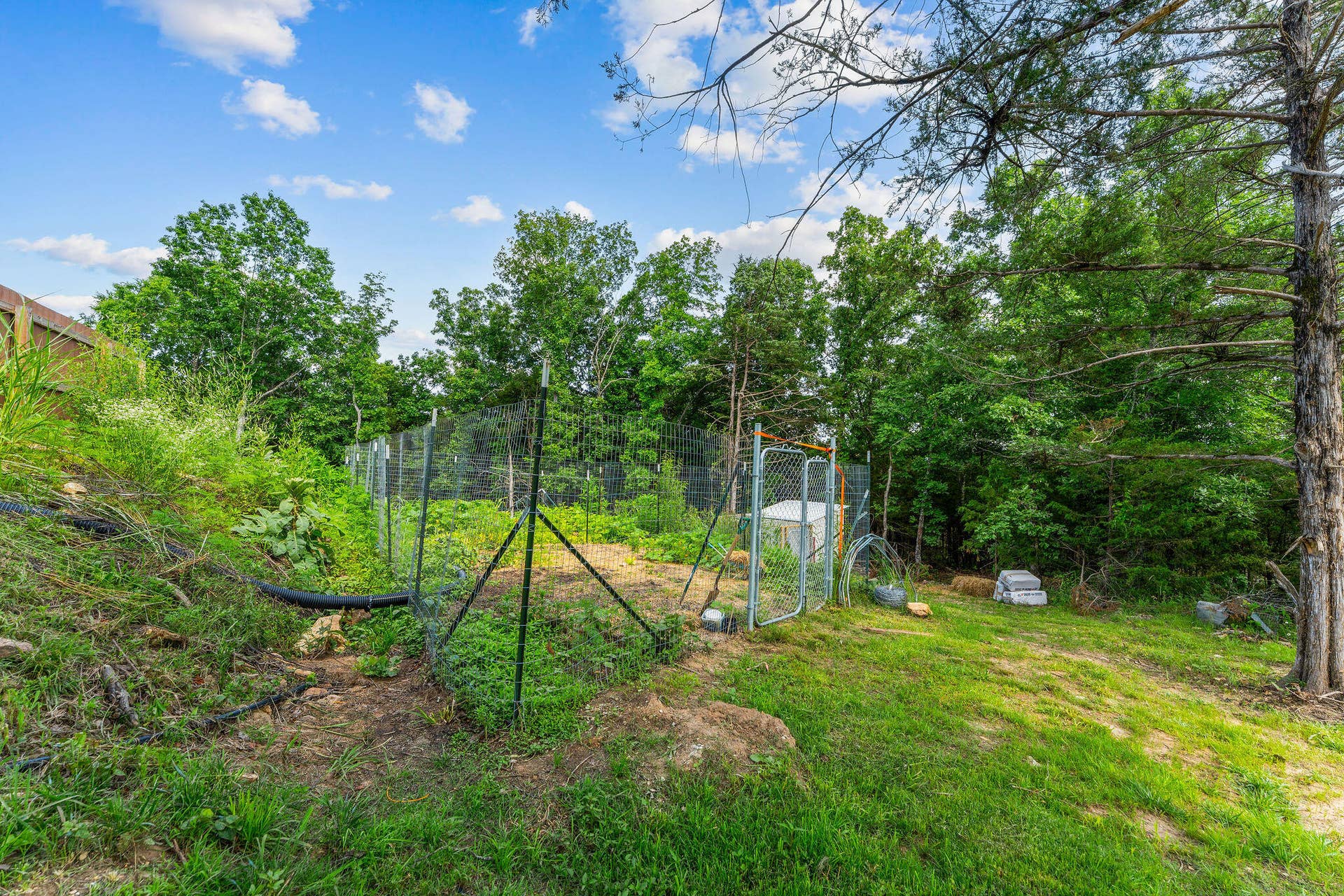 770 Mills Hollow Rd (65)