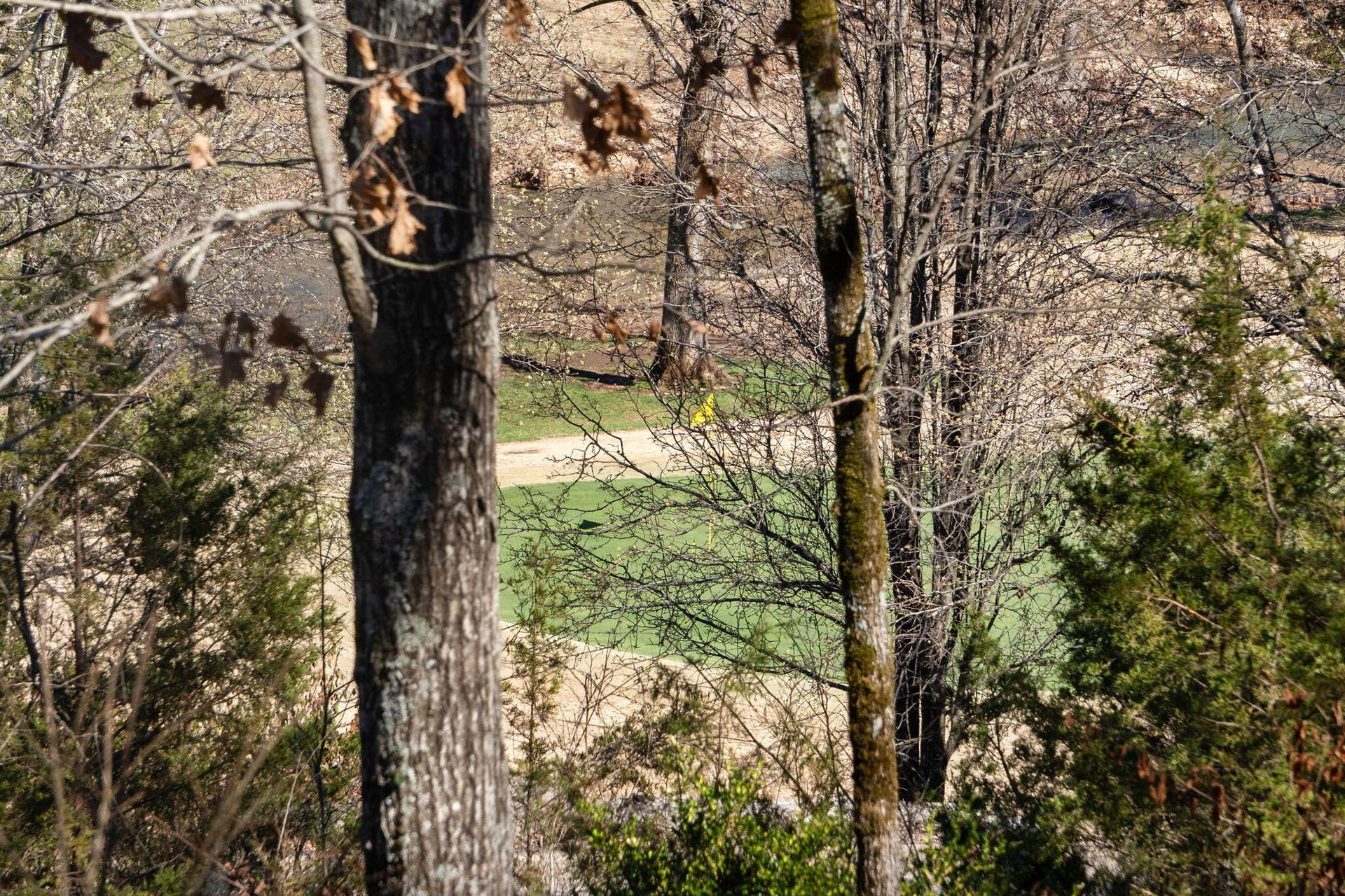 1209 Ledgestone Circle (60)