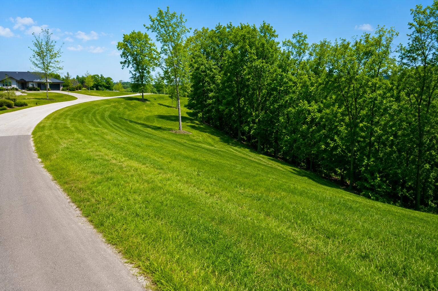 174 Purist Lane, Branson West, MO 65737 174 Purist Lane Branson West,MO