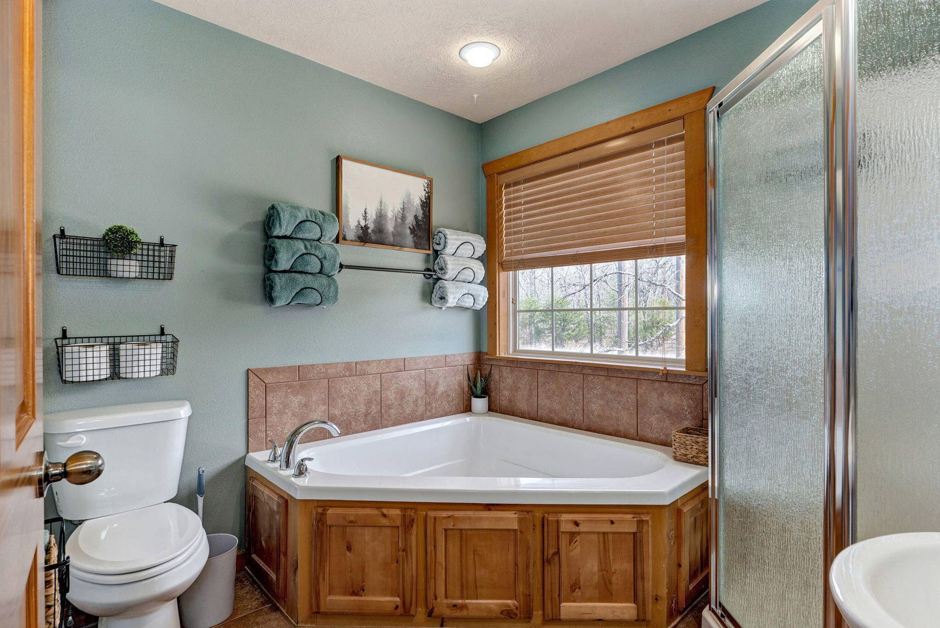 10 Olivia Court, #105b, Branson West, MO 65737 10 Olivia Ct-21