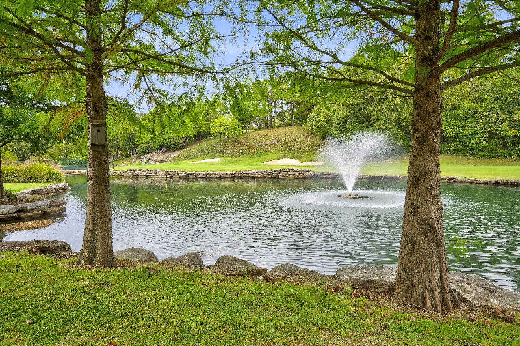 Serene Landscaping