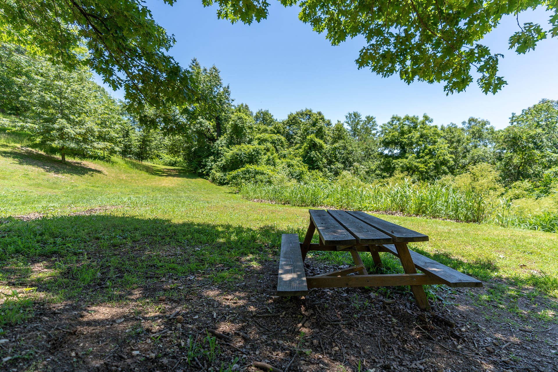 26 Sinatra Court, #1, Branson West, MO 65737 12-web-or-mls-Copy of 20210614-DSC05718-