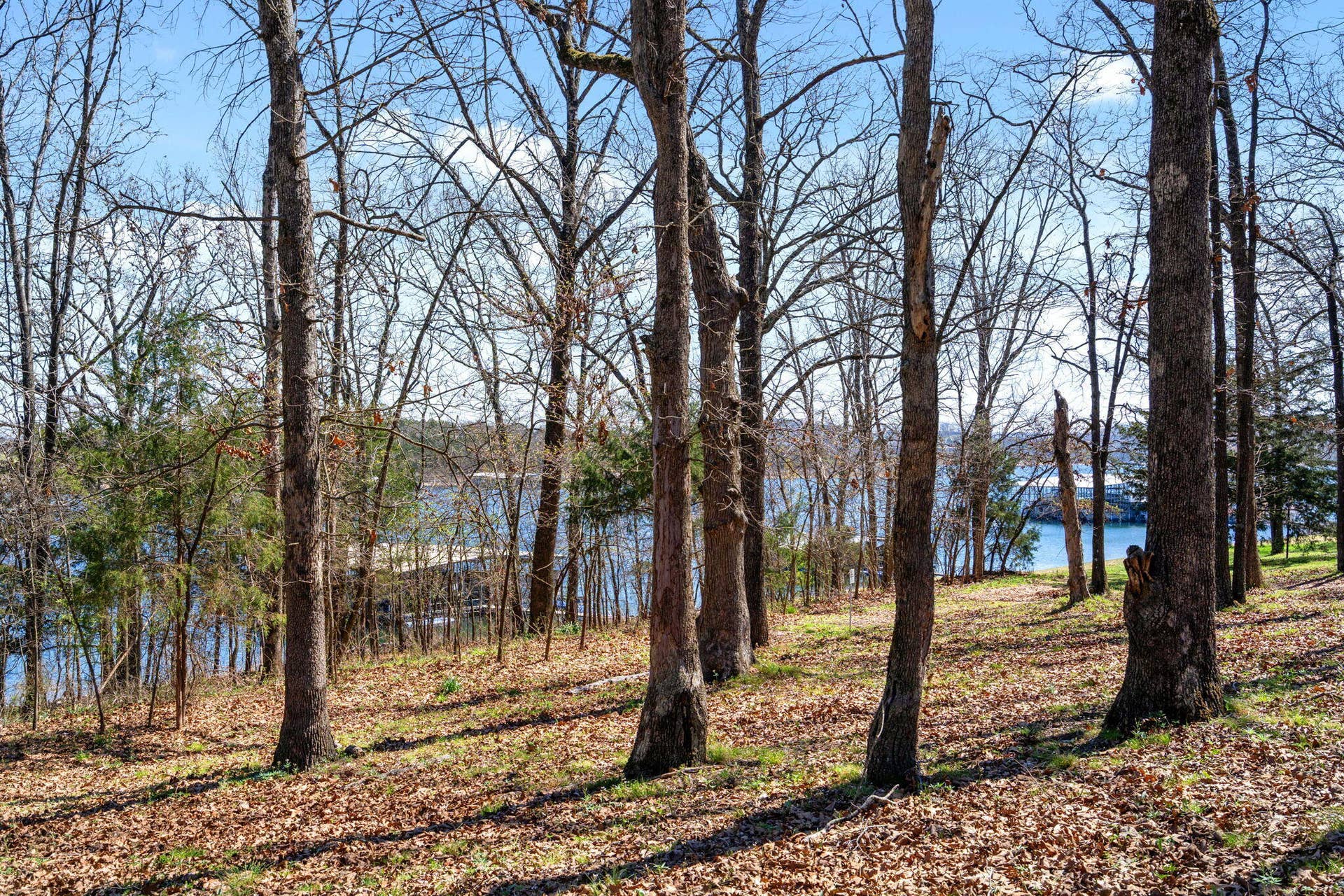 Lot 6 Silverbell Lane, Kimberling City, MO 65686 Lot-6-Silverbell-Dr-Lake-View-Parcel