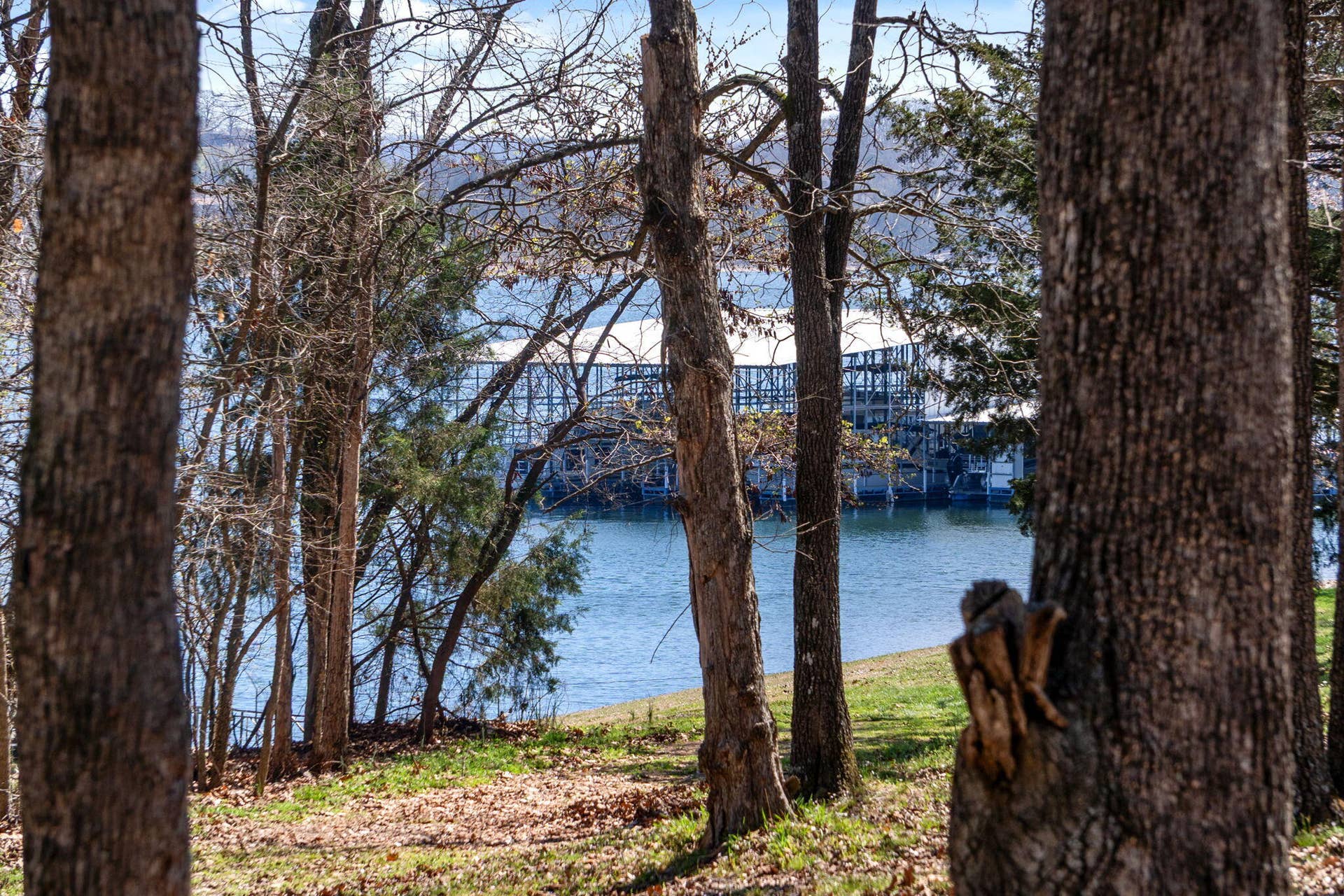 Lot 6 Silverbell Lane, Kimberling City, MO 65686 Lot-6-Silverbell-Dr-Waterfront-Lot-KC