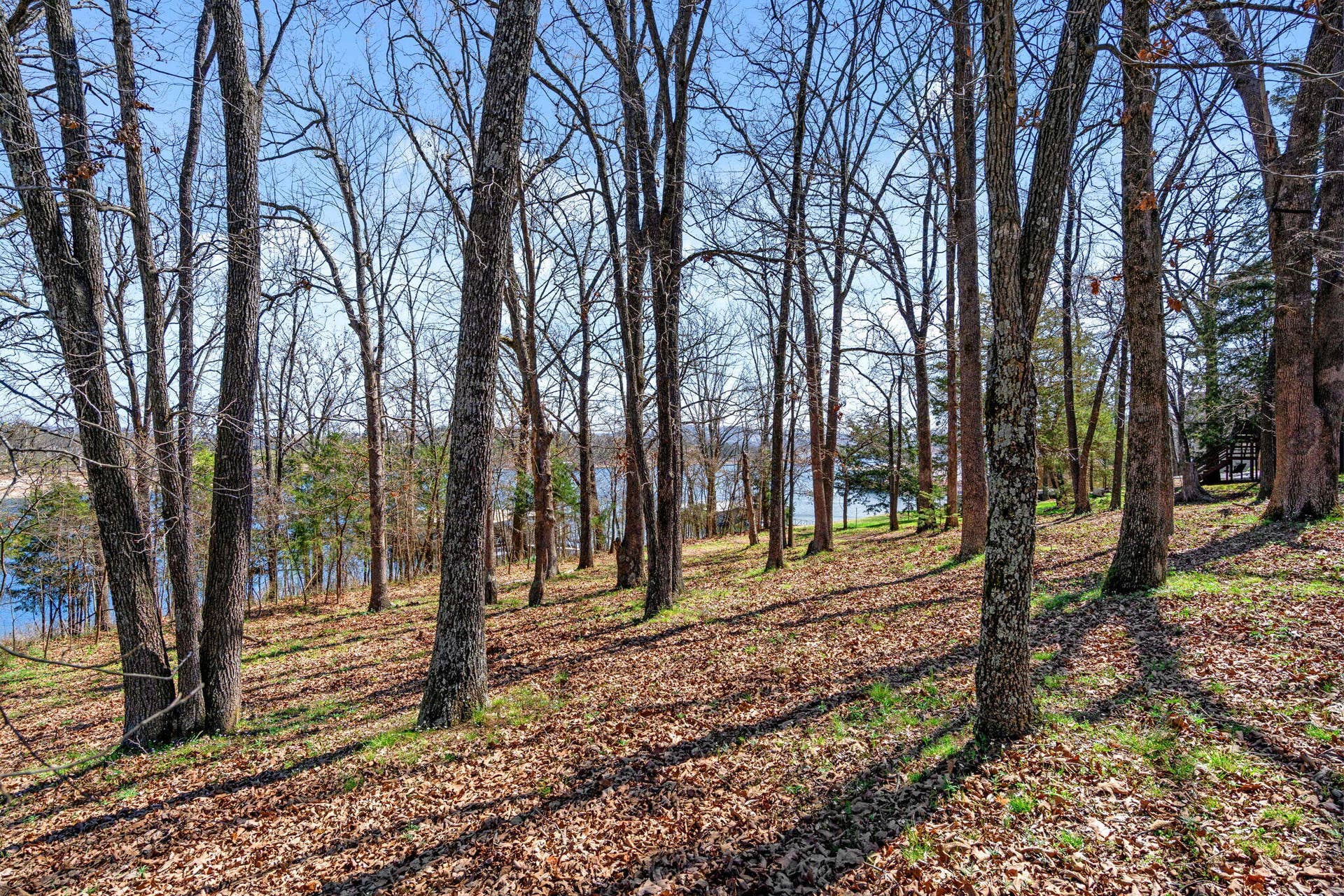Lot 6 Silverbell Lane, Kimberling City, MO 65686 Lot-6-Silverbell-Dr-Wooded-Lot-KC