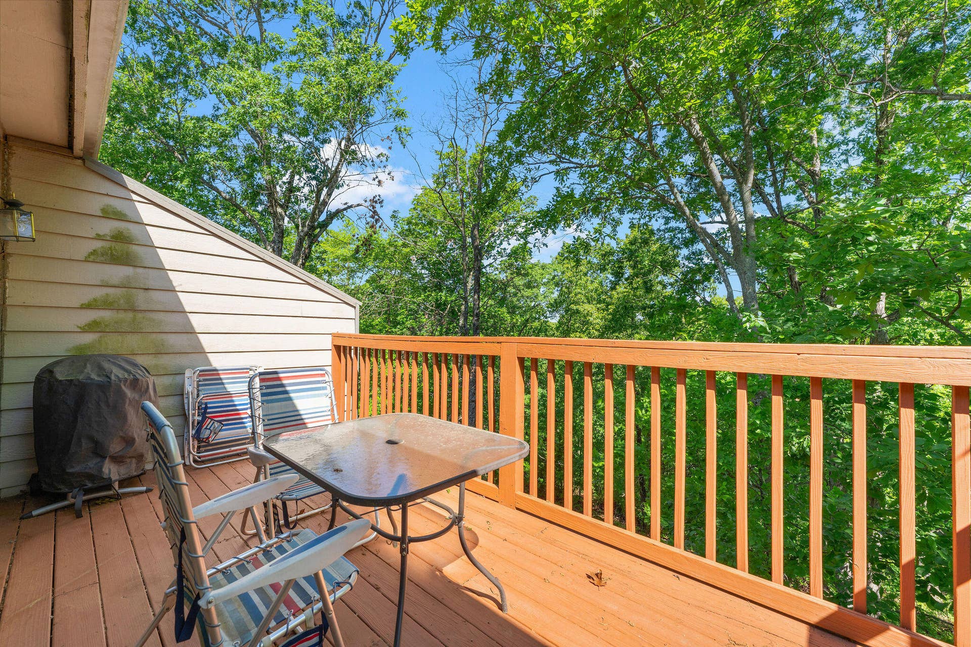 144 Oak Lane, #144, Branson West, MO 65737 DSC03002
