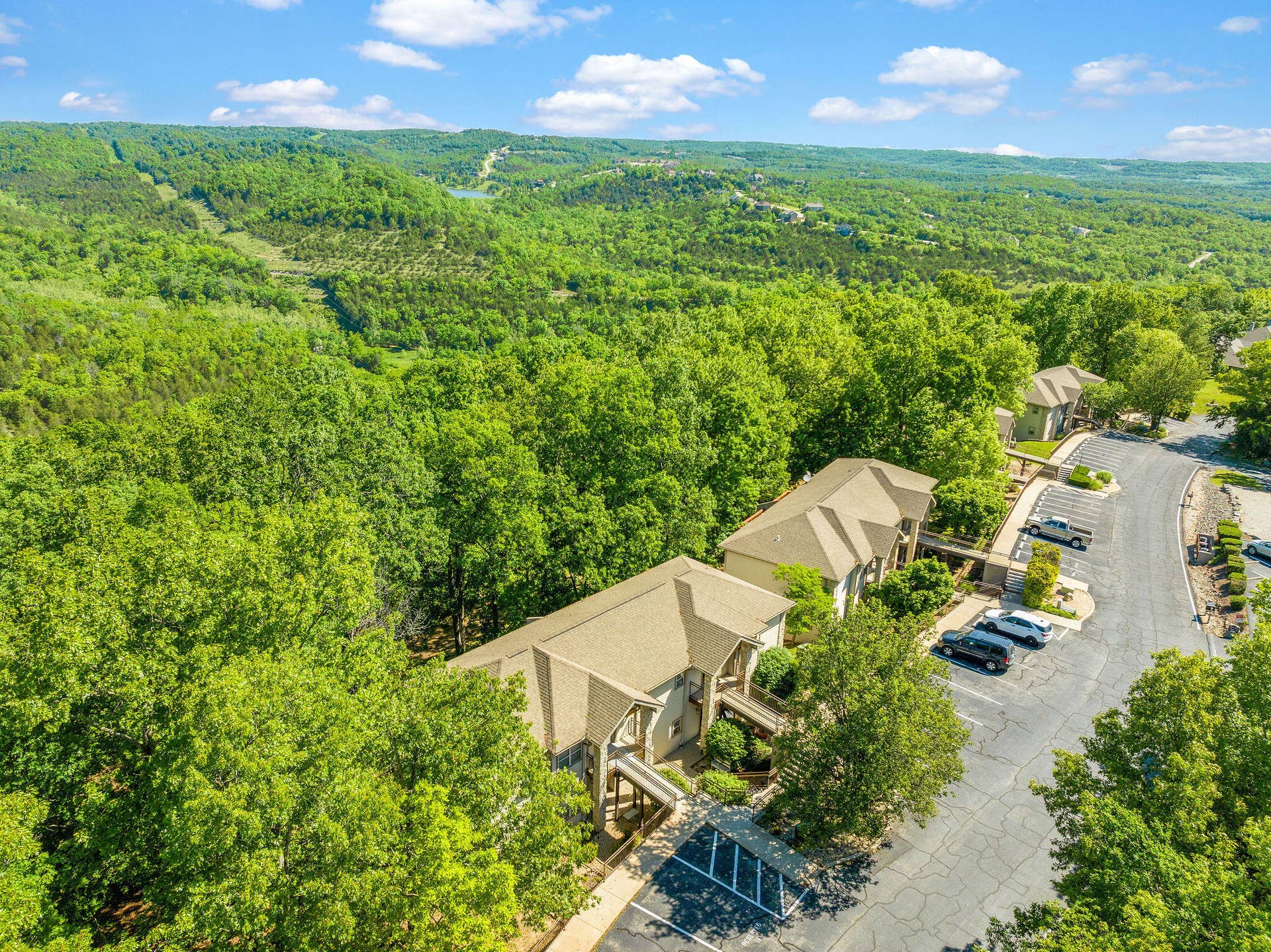144 Oak Lane, #144, Branson West, MO 65737 DJI_0982