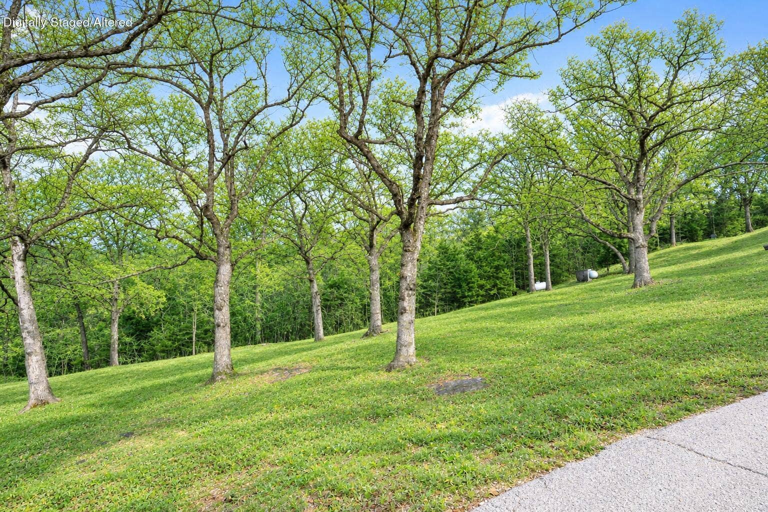 Lot 51a Oleary Drive, Kimberling City, MO 65686 Lot-51A-OLeary-Dr-Tranquil-Trees
