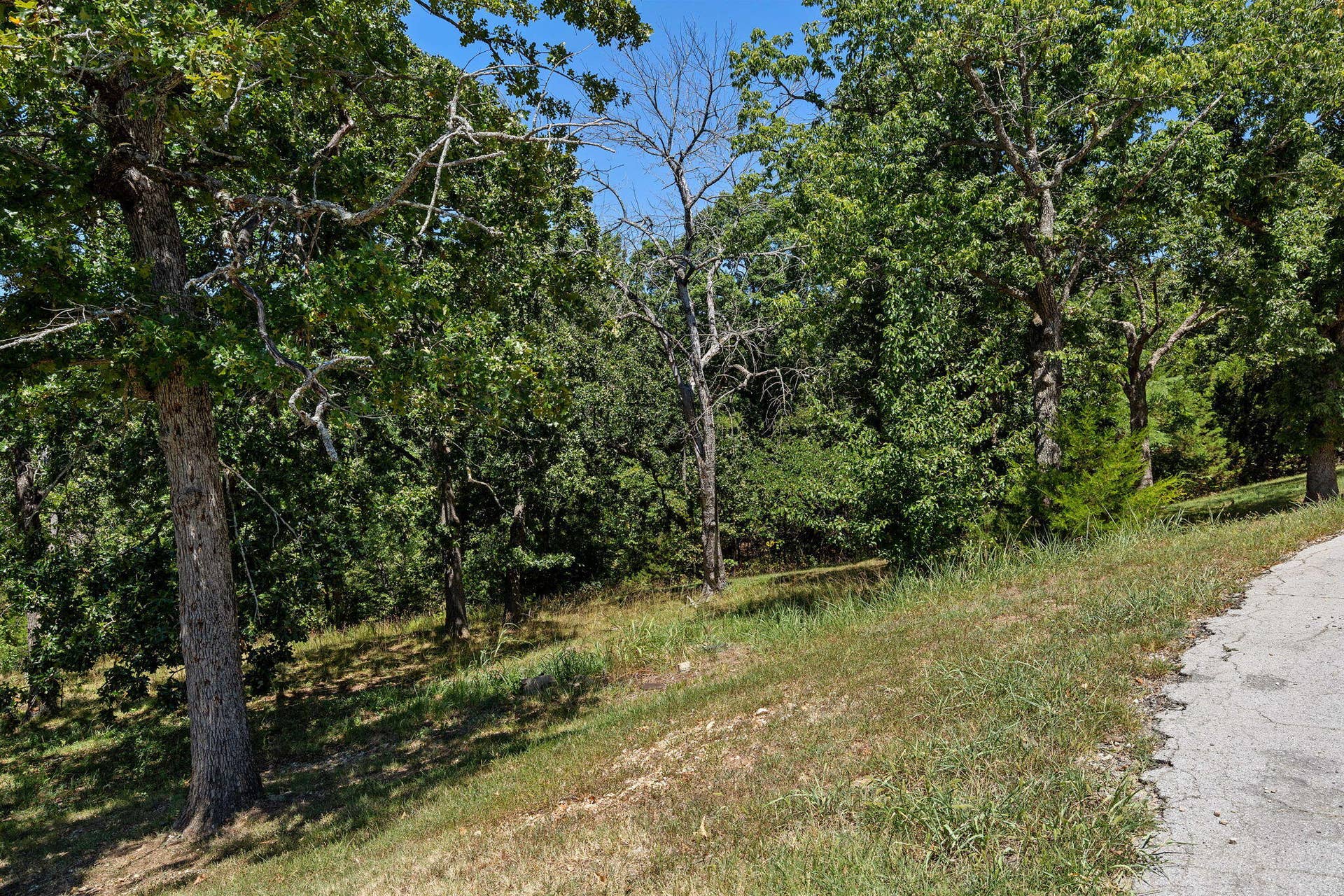 Lot 51a Oleary Drive, Kimberling City, MO 65686 11-web-or-mls-DSC00423