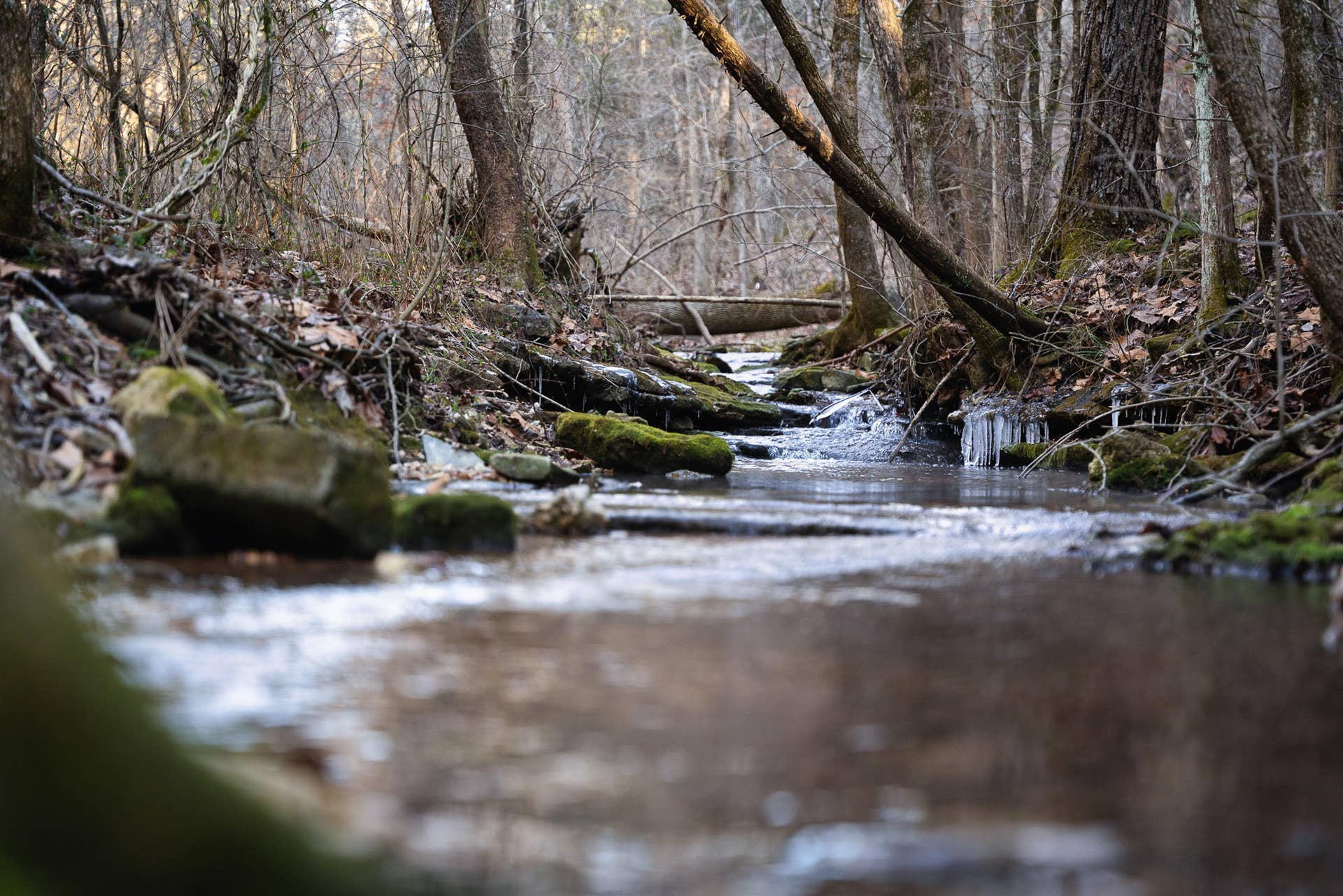 TBD-NORTHWOODS-DR-TABLE-WATER-SOURCE