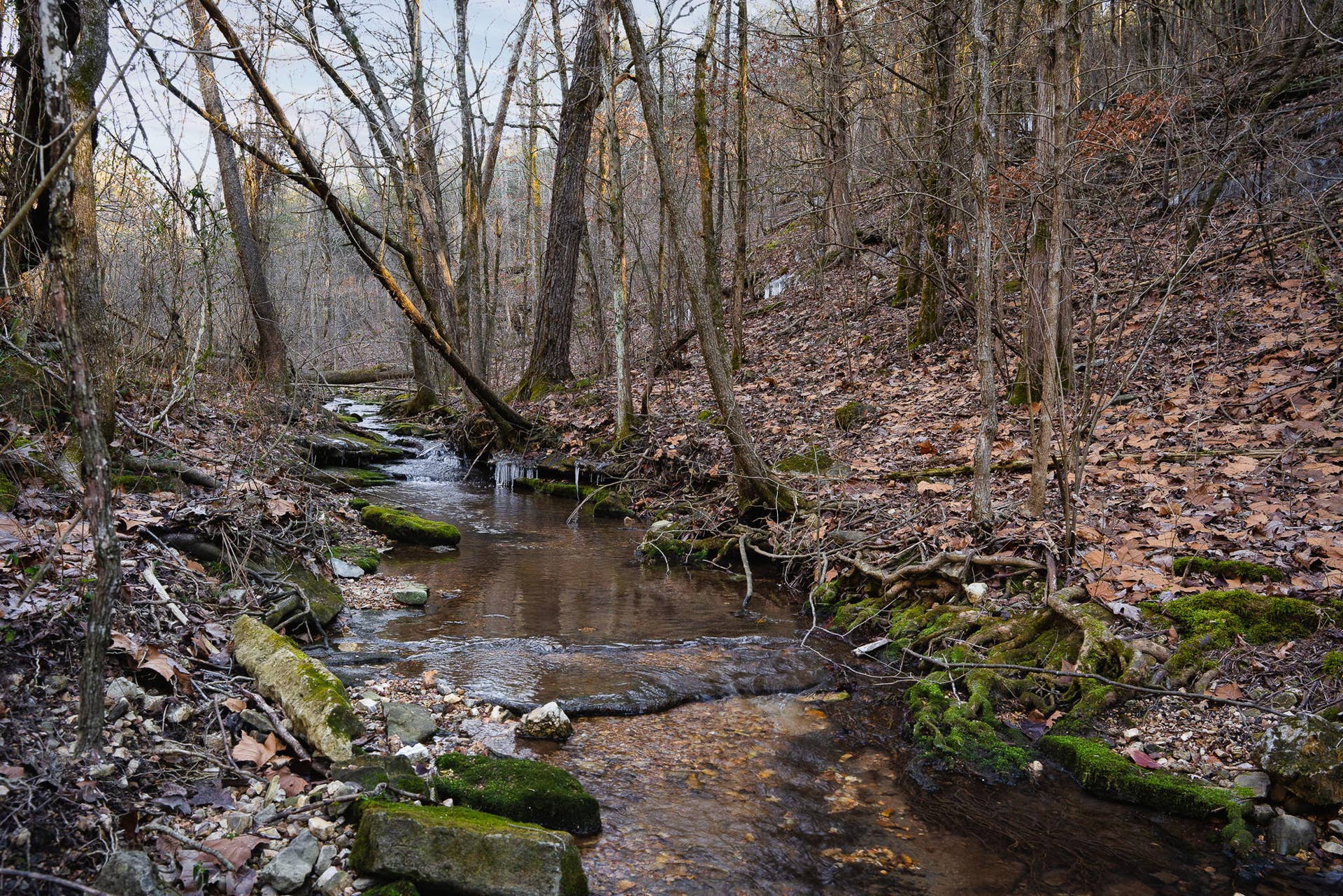 TBD-NORTHWOODS-DR-STREAMS-WATER