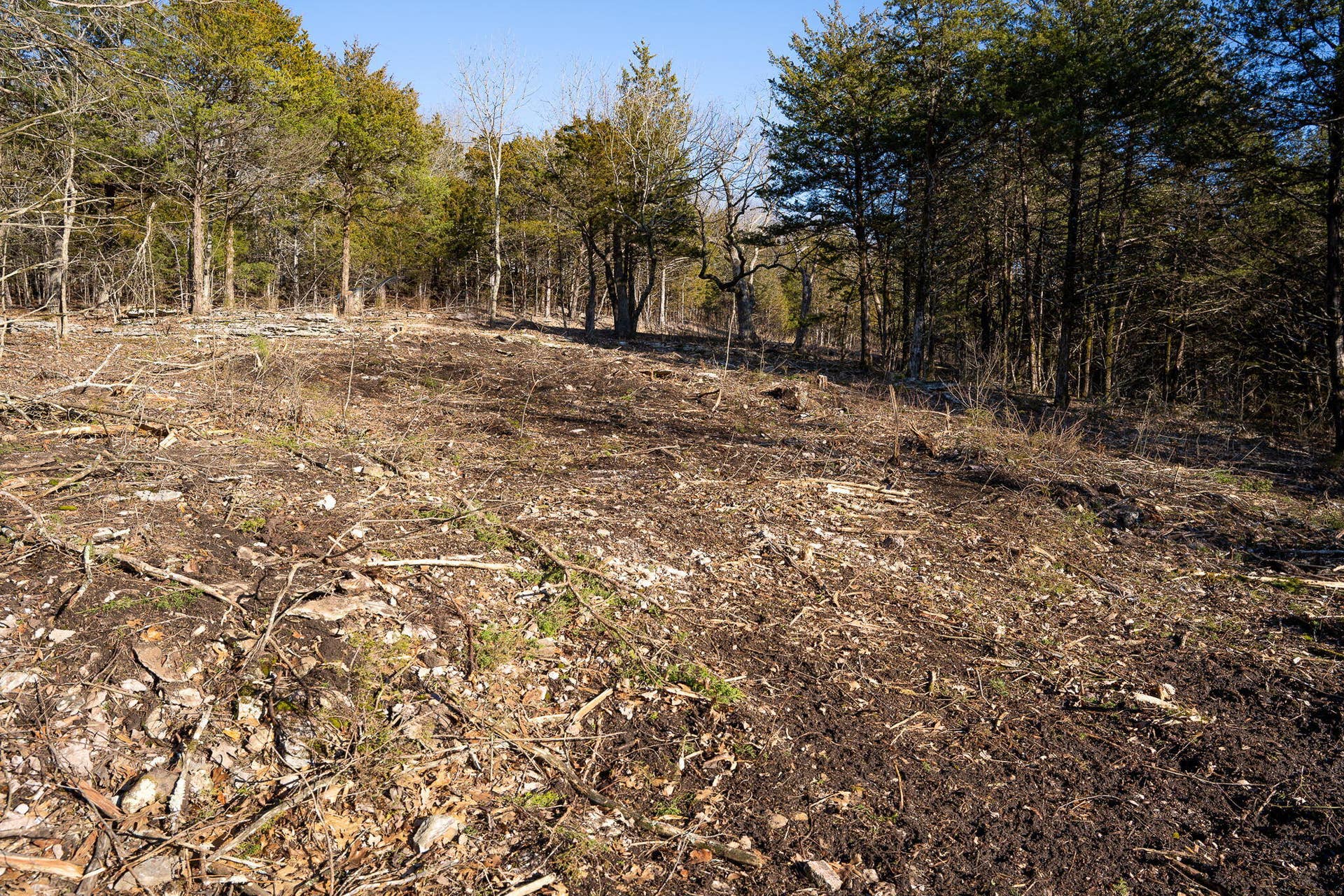 TBD-NORTHWOODS-DR-BUILD-SITE-ACREAGE