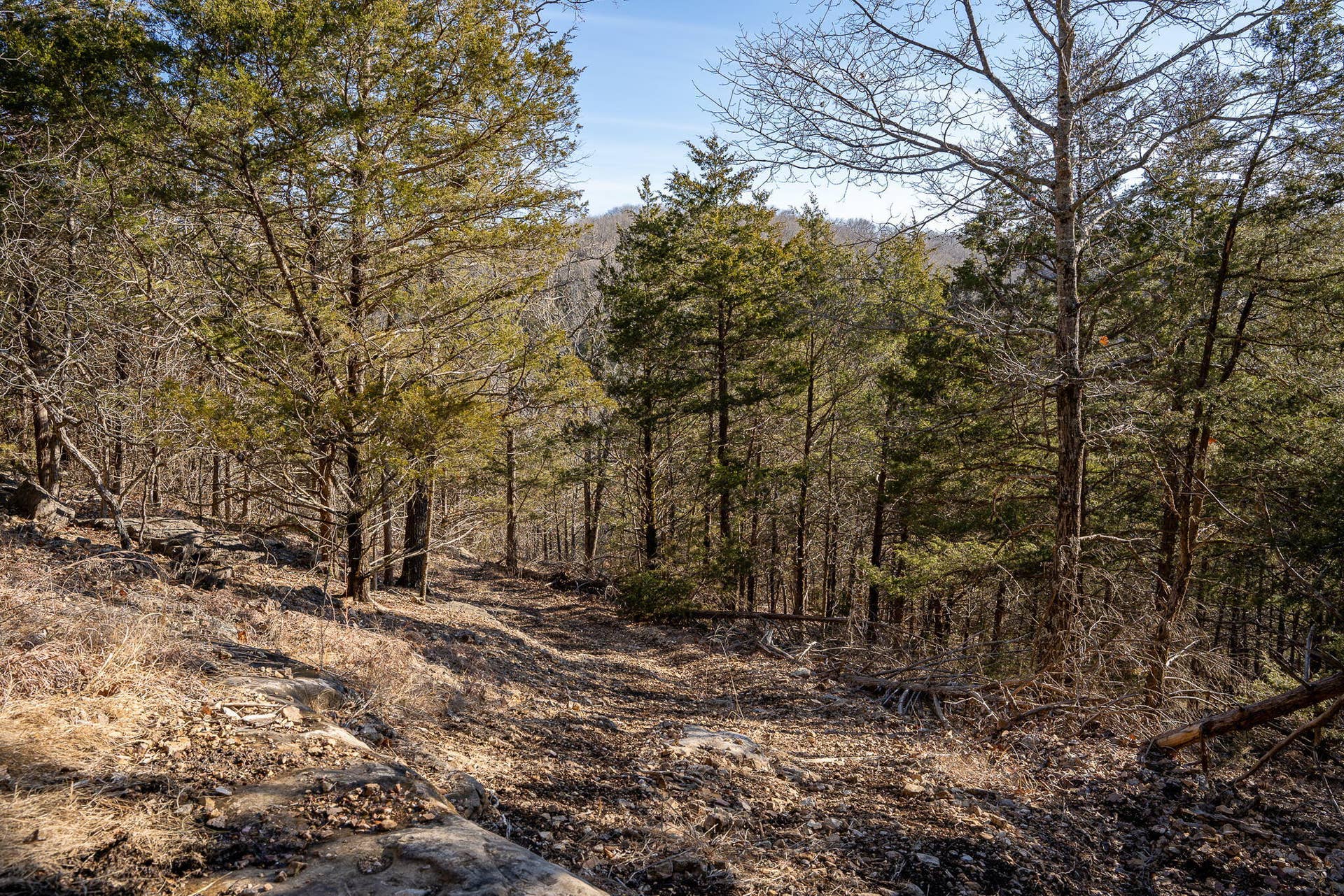 TBD-NORTHWOODS-DR-HUNTING-FOREST