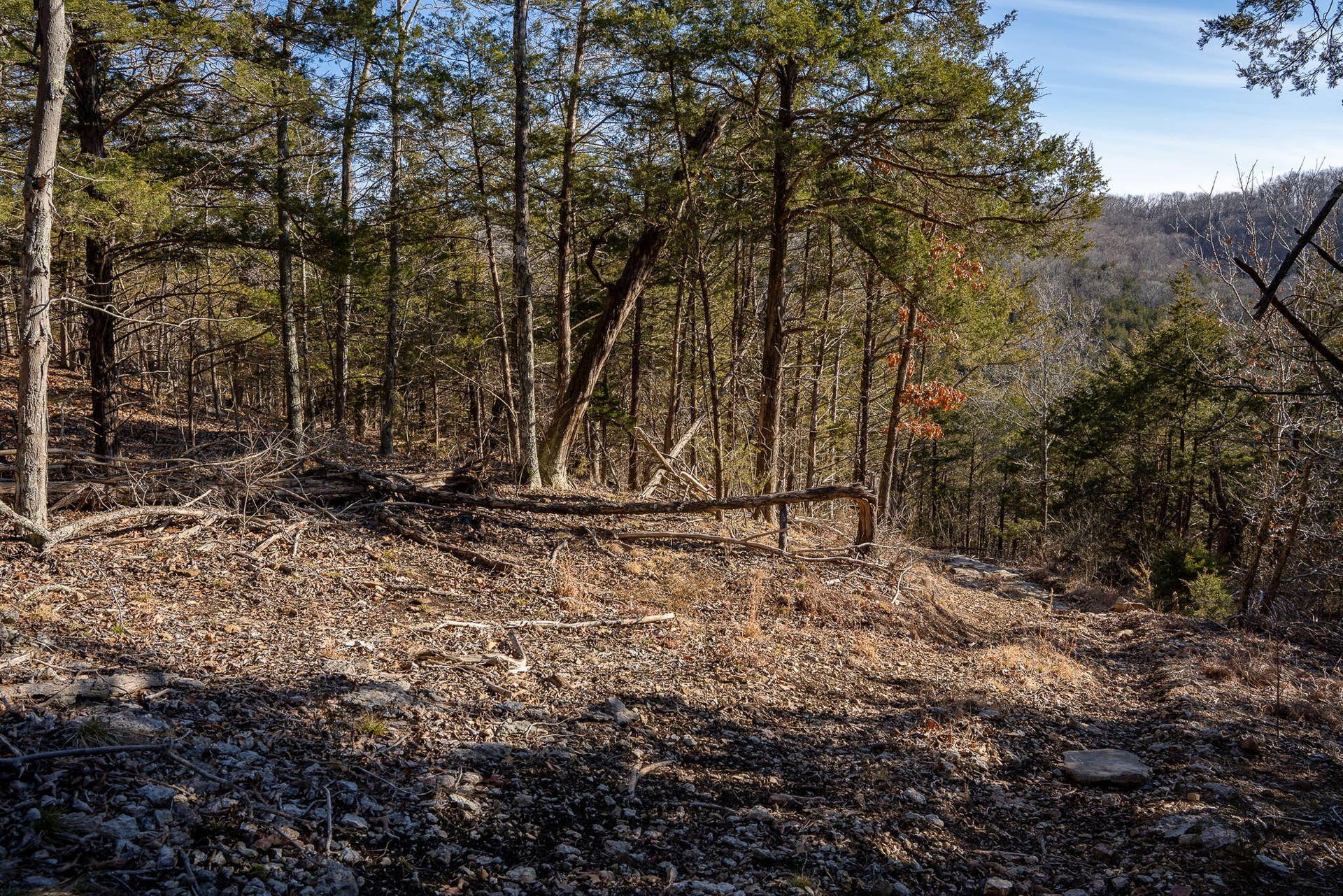TBD-NORTHWOODS-DR-ACREAGE-WOODS