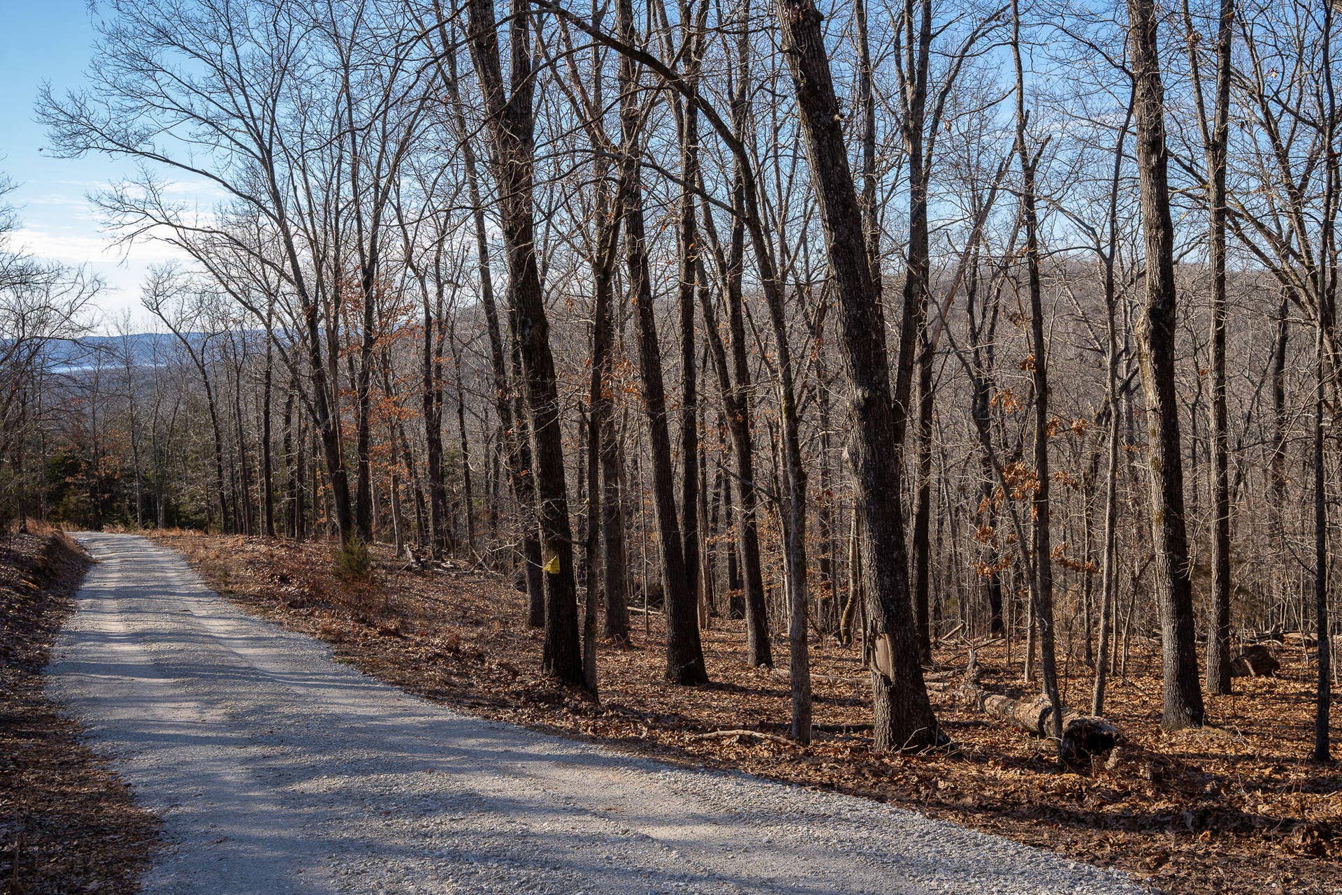 TBD-NORTHWOODS-DR-TABLE-ROAD