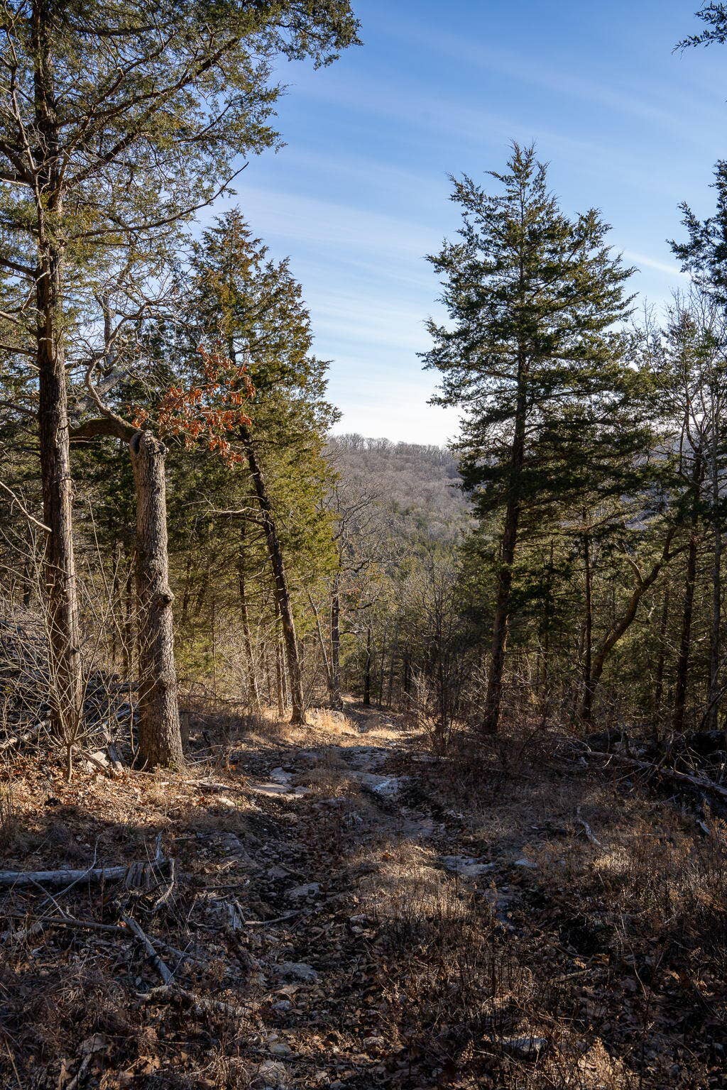 TBD-NORTHWOODS-DR-NATURE-ACREAGE