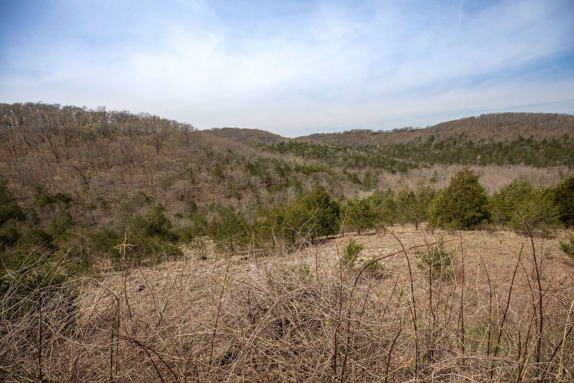 Lot 8 Silver Oak Place, Branson West, MO 65737 Stonebridge-25