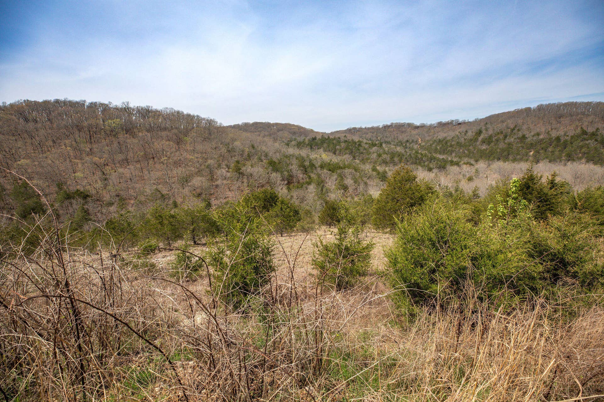Lot 8 Silver Oak Place, Branson West, MO 65737 Stonebridge-24