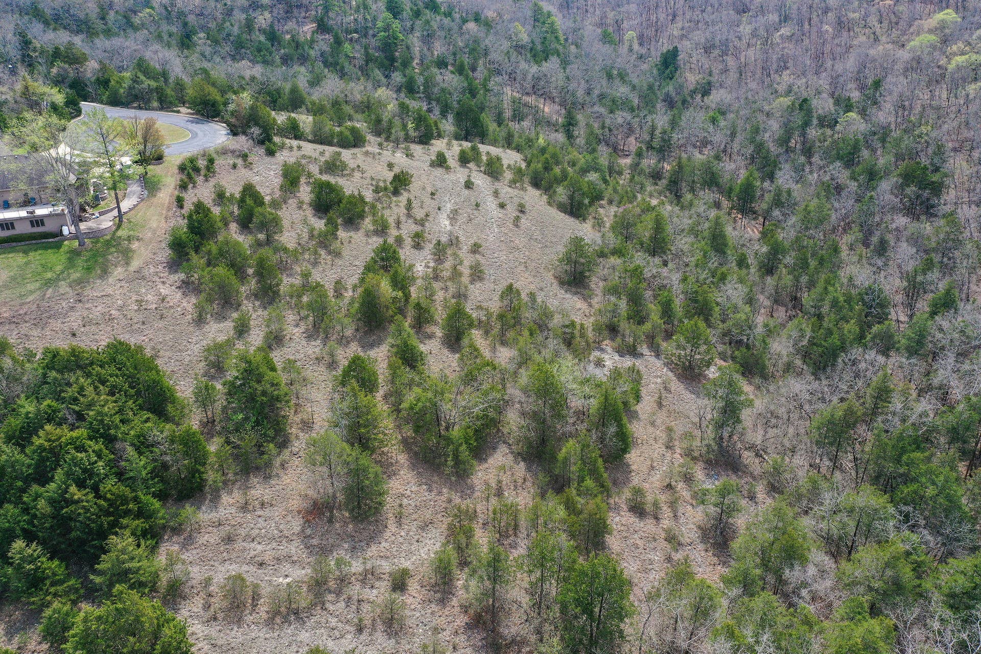 Lot 8 Silver Oak Place, Branson West, MO 65737 Stonebridge-14