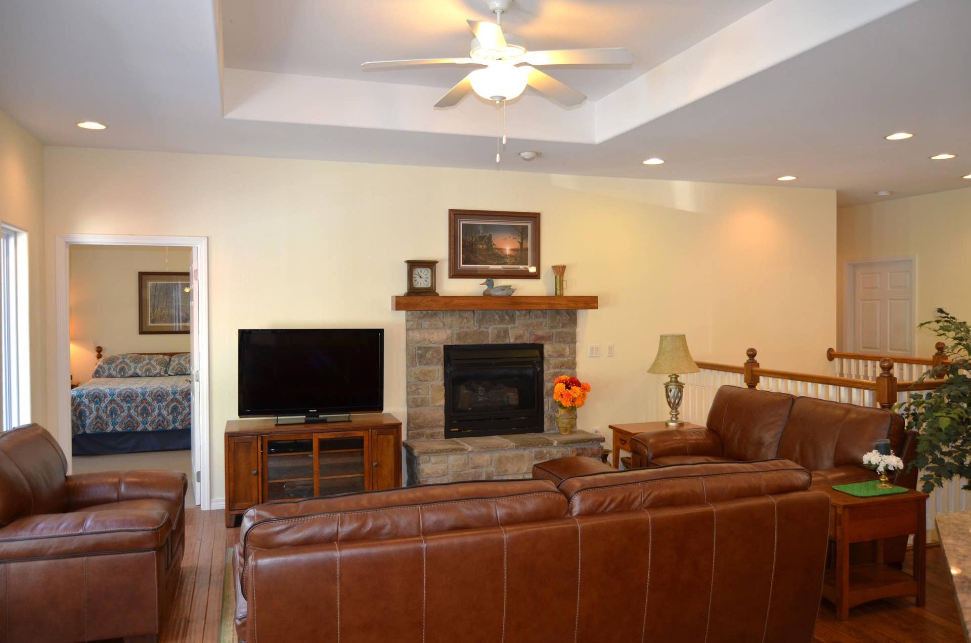 Gas Log Fireplace