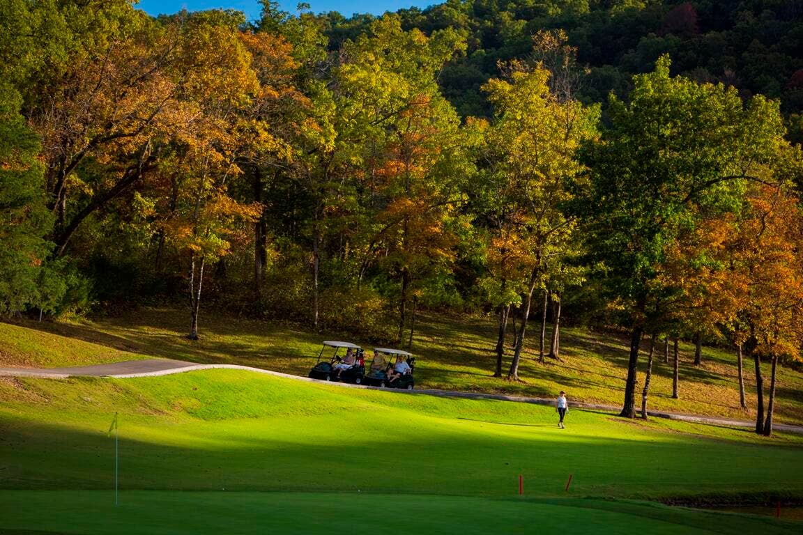 558 Baldknobber Drive, #49, Branson West, MO 65737 stonebridge golf course_0007