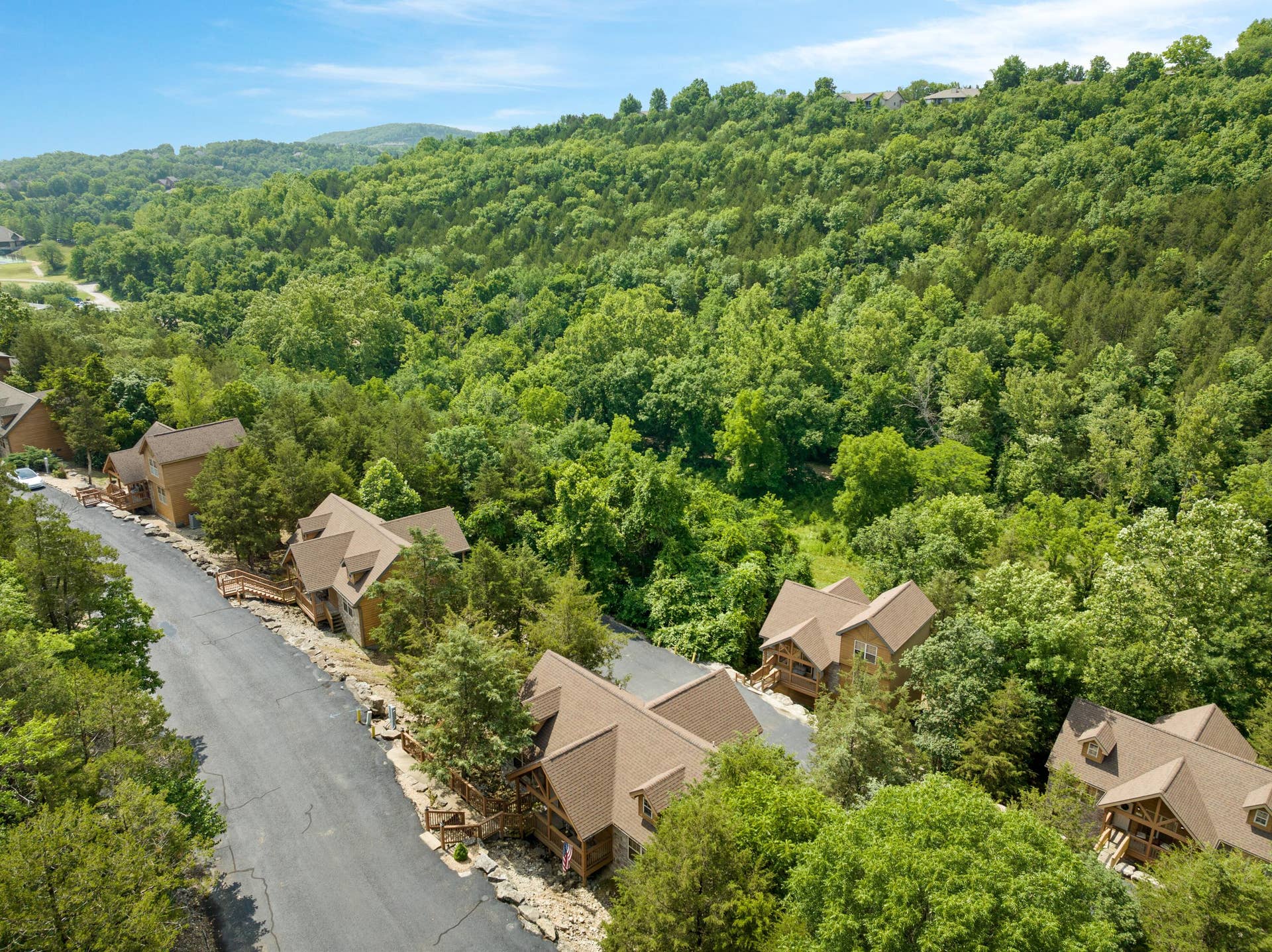 558 Baldknobber Drive, #49, Branson West, MO 65737 aerial
