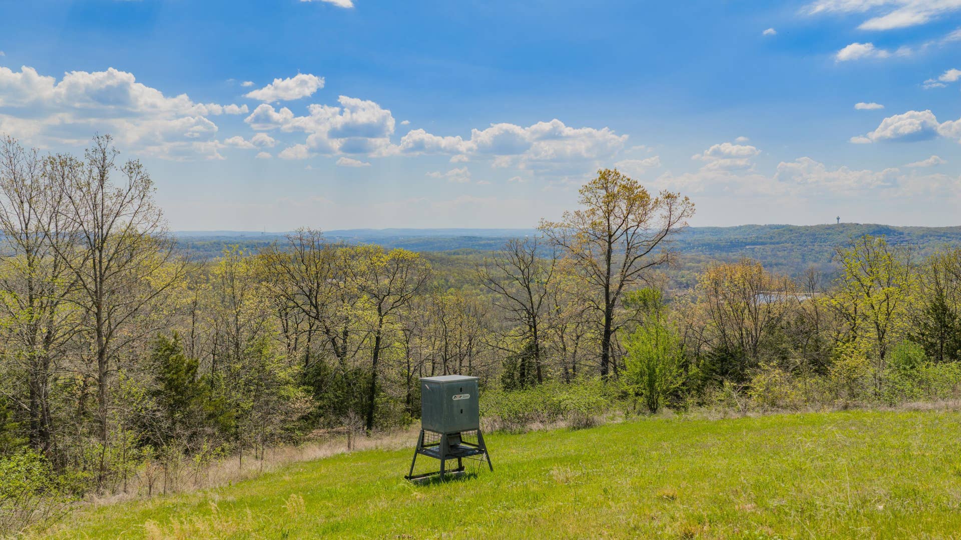 226 Chalcedony Court, Branson West, MO 65737 Yard 1