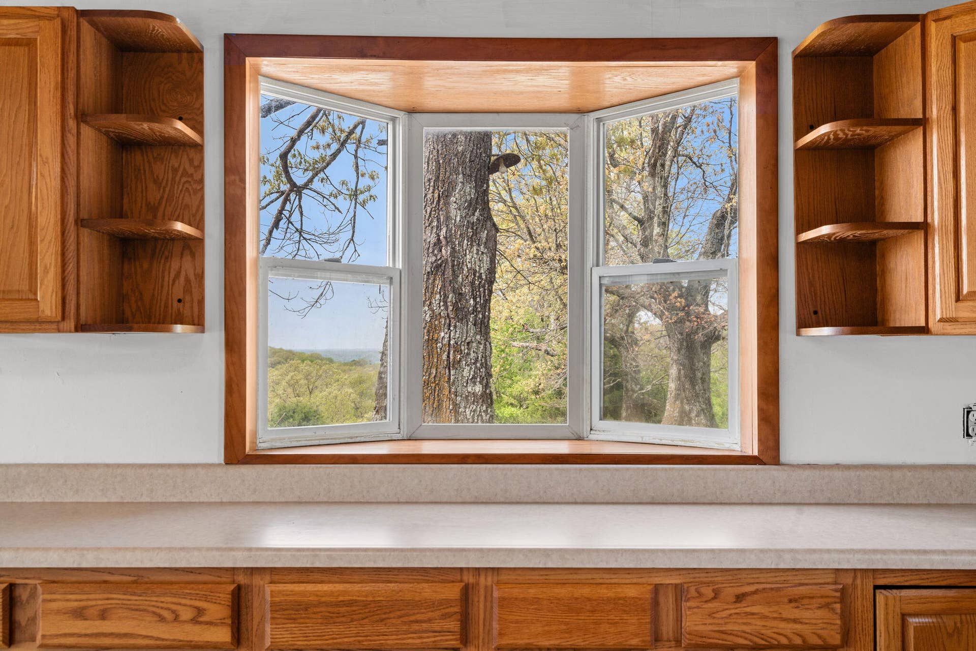 55 Kearney Lane, Reeds Spring, MO 65737 55-Kearney-Ln-Cooking-with-a-View