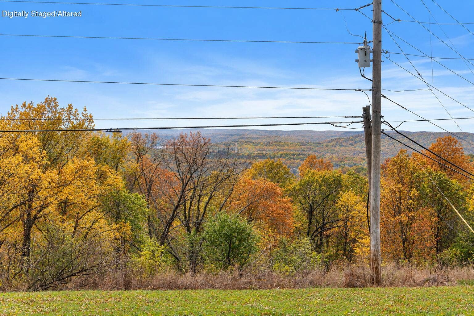 55 Kearney Lane, Reeds Spring, MO 65737 55-Kearney-Ln-Fall-in-Love